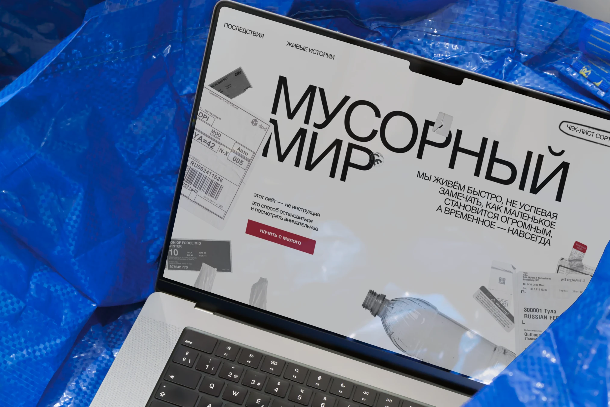 web-design — Trash World — Изображение №1 — Интерфейсы, Брендинг на Dprofile