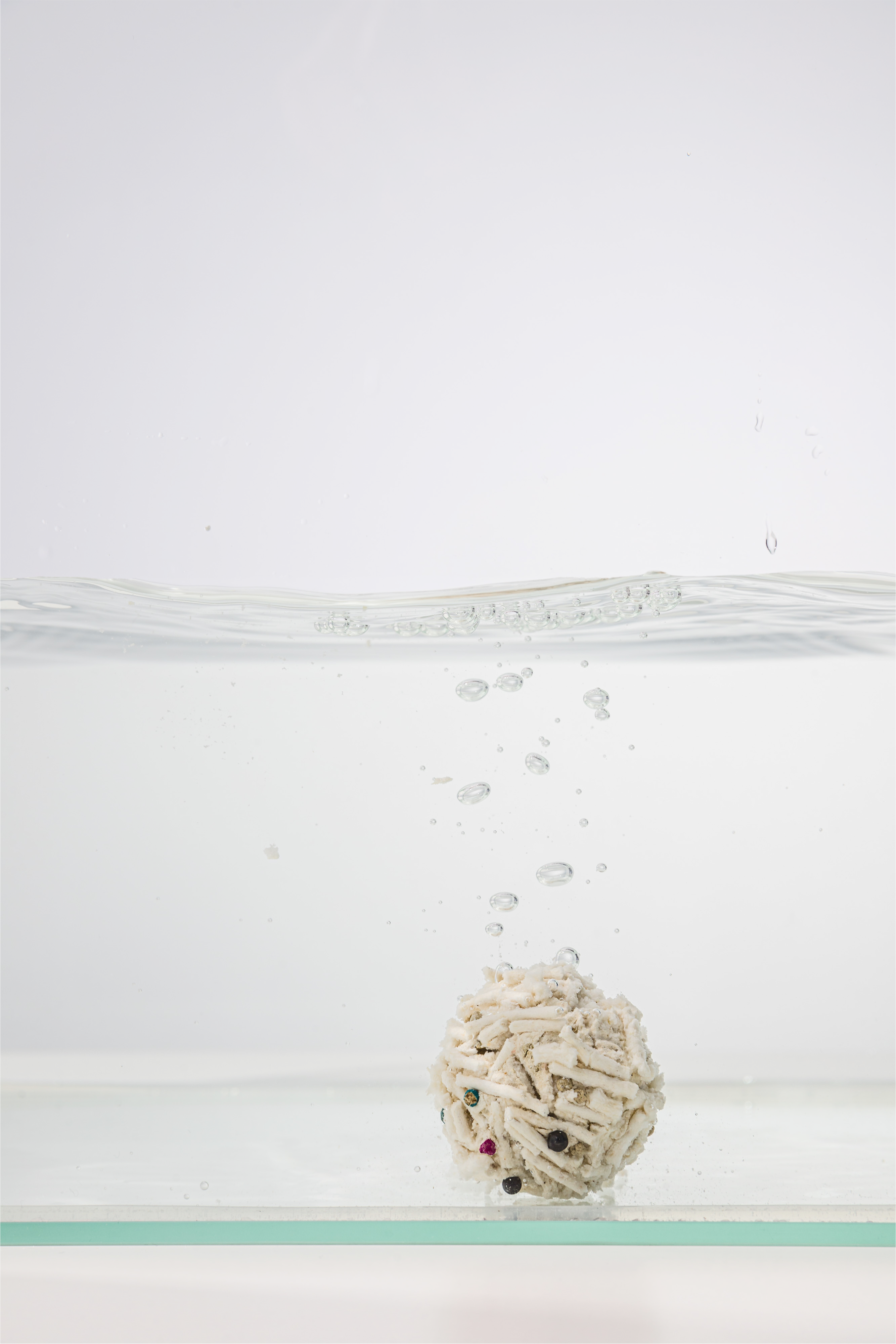 Наполнитель PET'S RULE — Изображение №10 — Брендинг на Dprofile