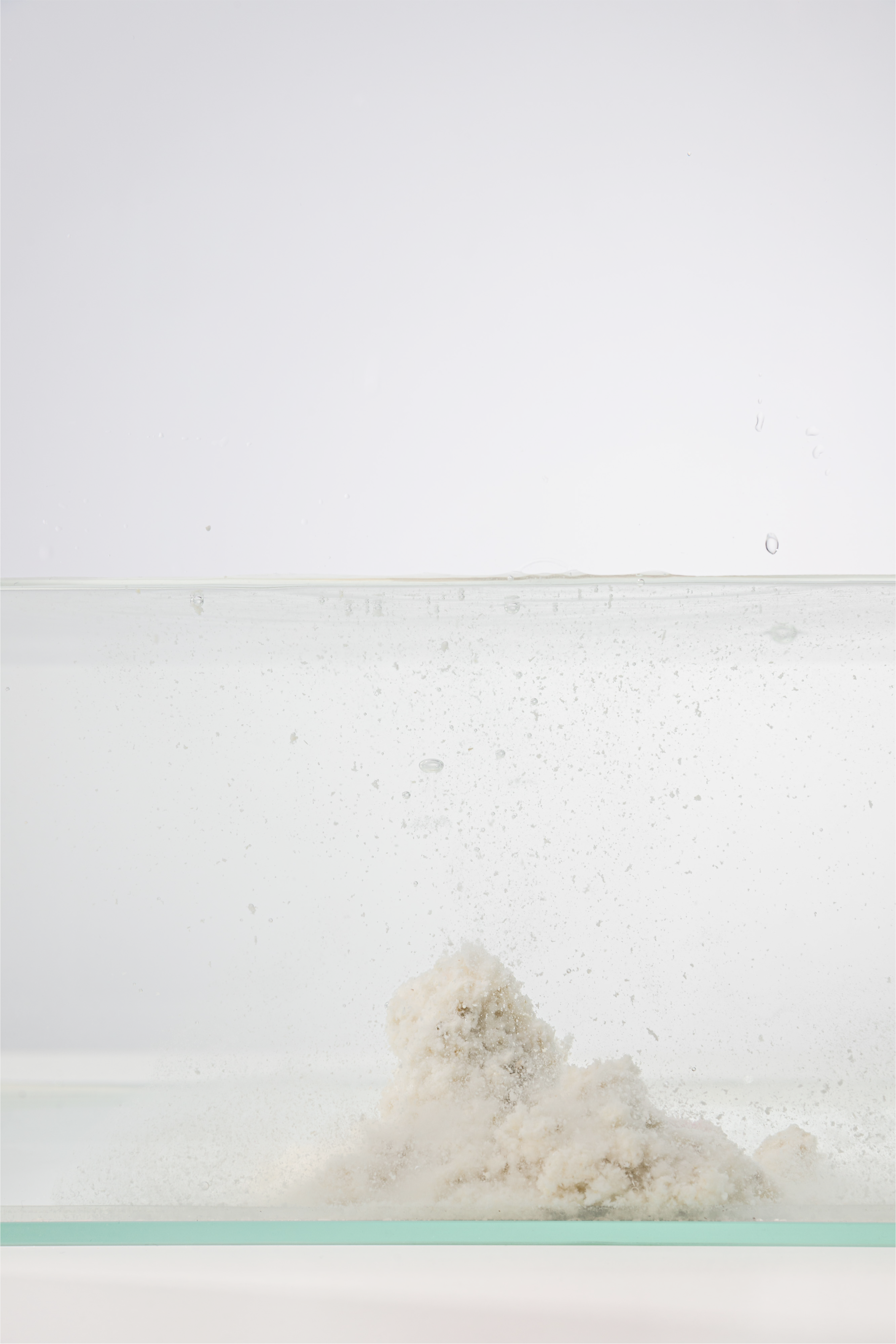 Наполнитель PET'S RULE — Изображение №12 — Брендинг на Dprofile