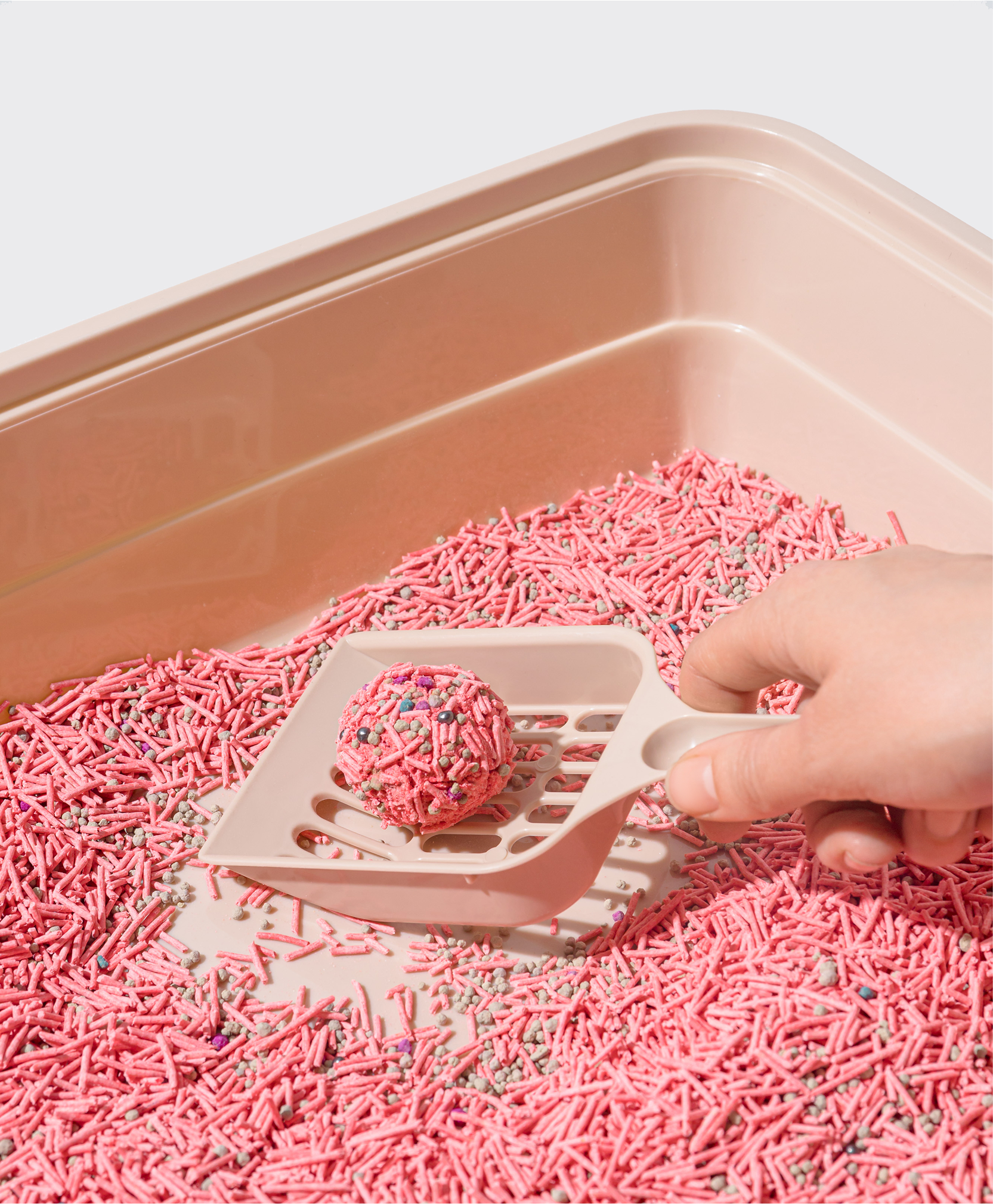 Наполнитель PET'S RULE — Изображение №6 — Брендинг на Dprofile