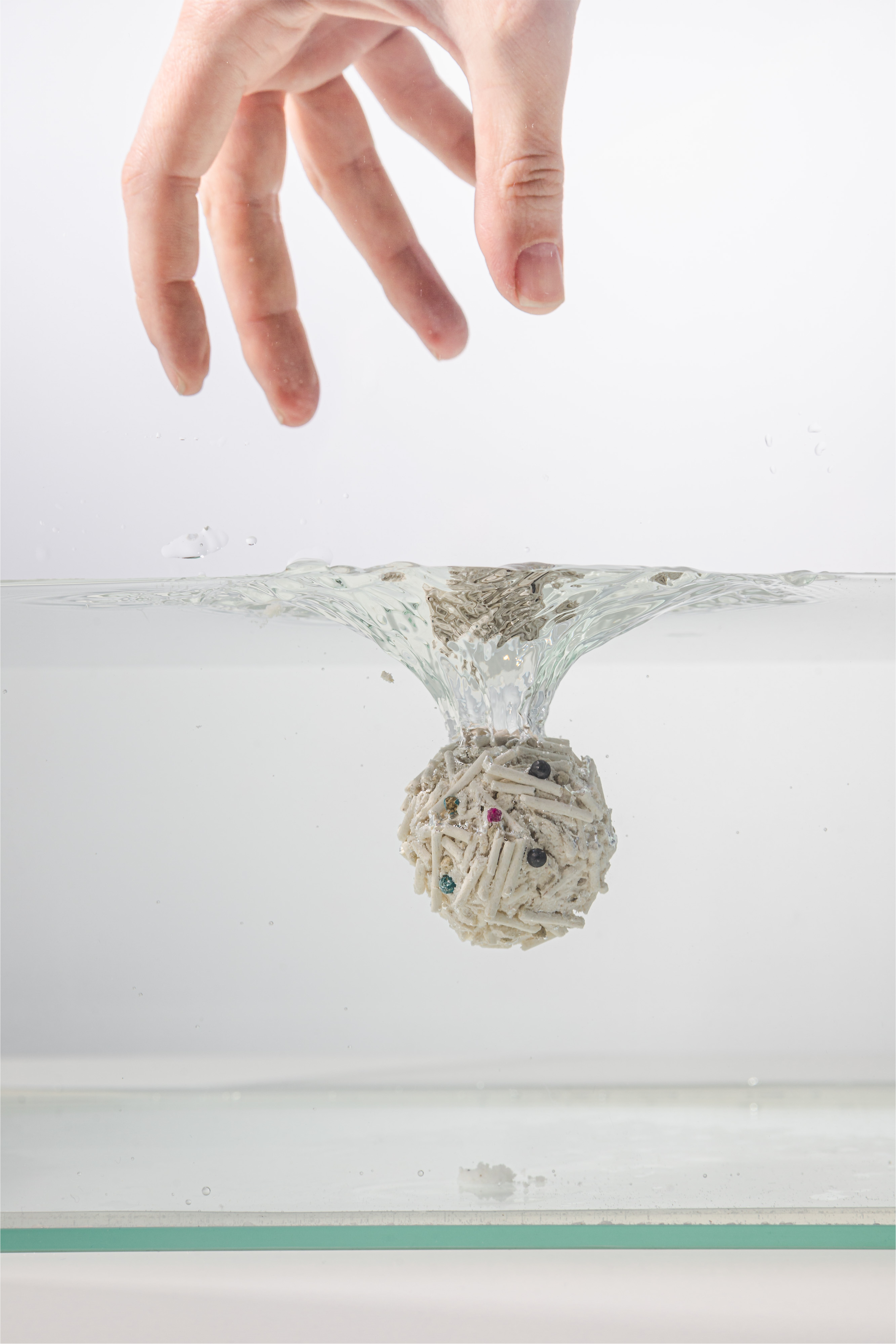 Наполнитель PET'S RULE — Изображение №9 — Брендинг на Dprofile