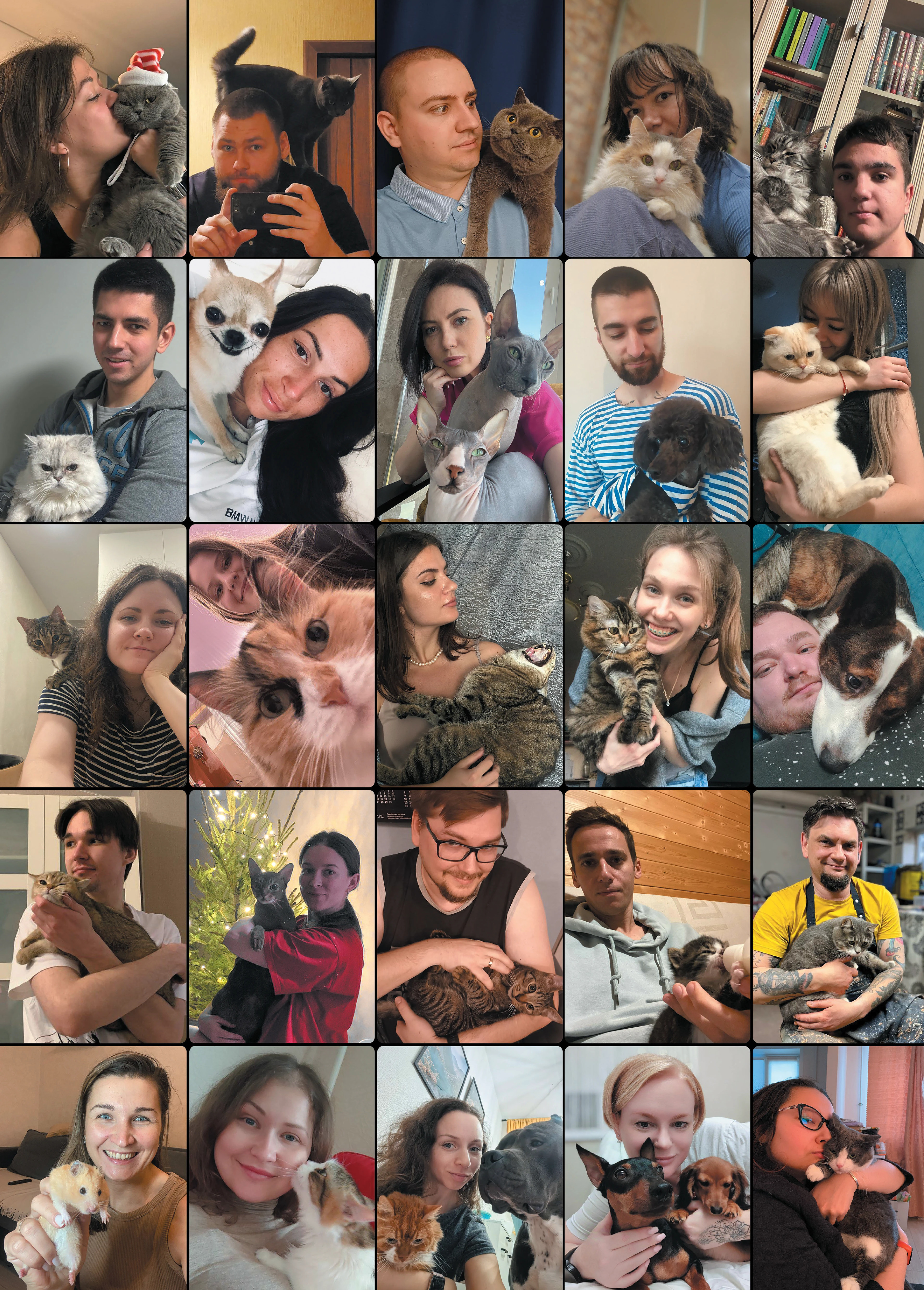 Календарь 2025, LLS. Schrodinger's cat — Изображение №22 — Брендинг, Графика на Dprofile