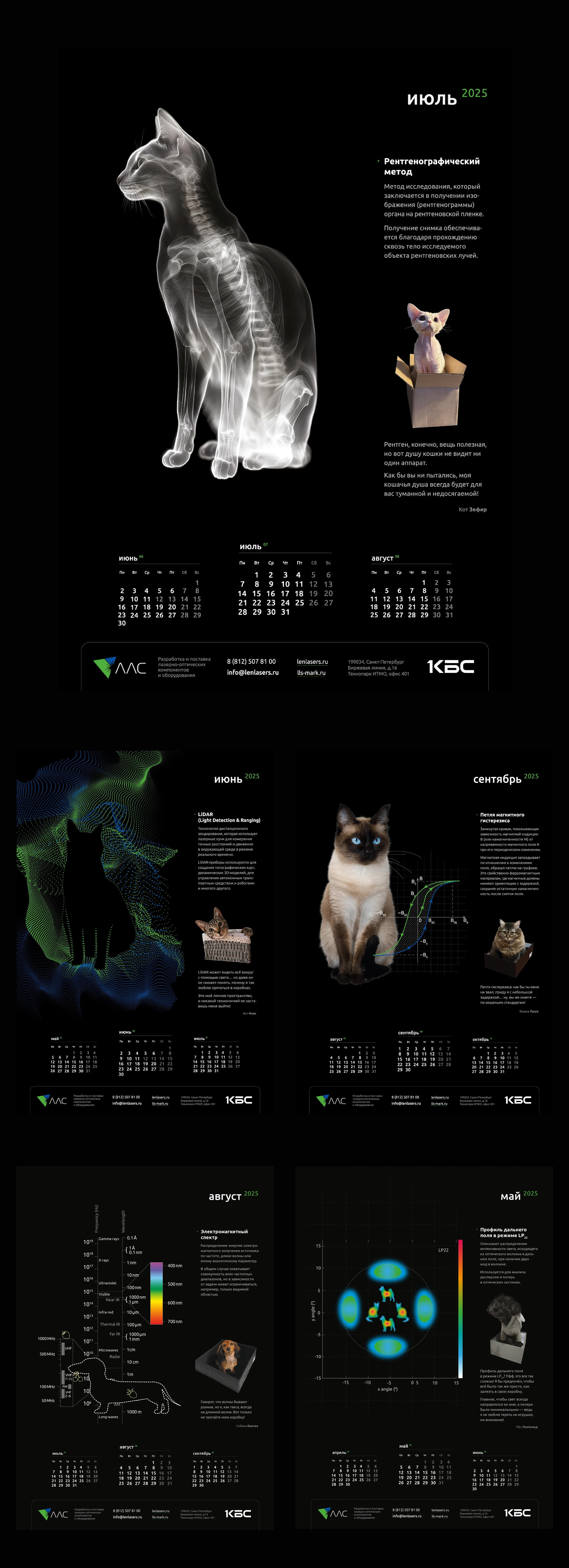 Календарь 2025, LLS. Schrodinger's cat — Изображение №8 — Брендинг, Графика на Dprofile