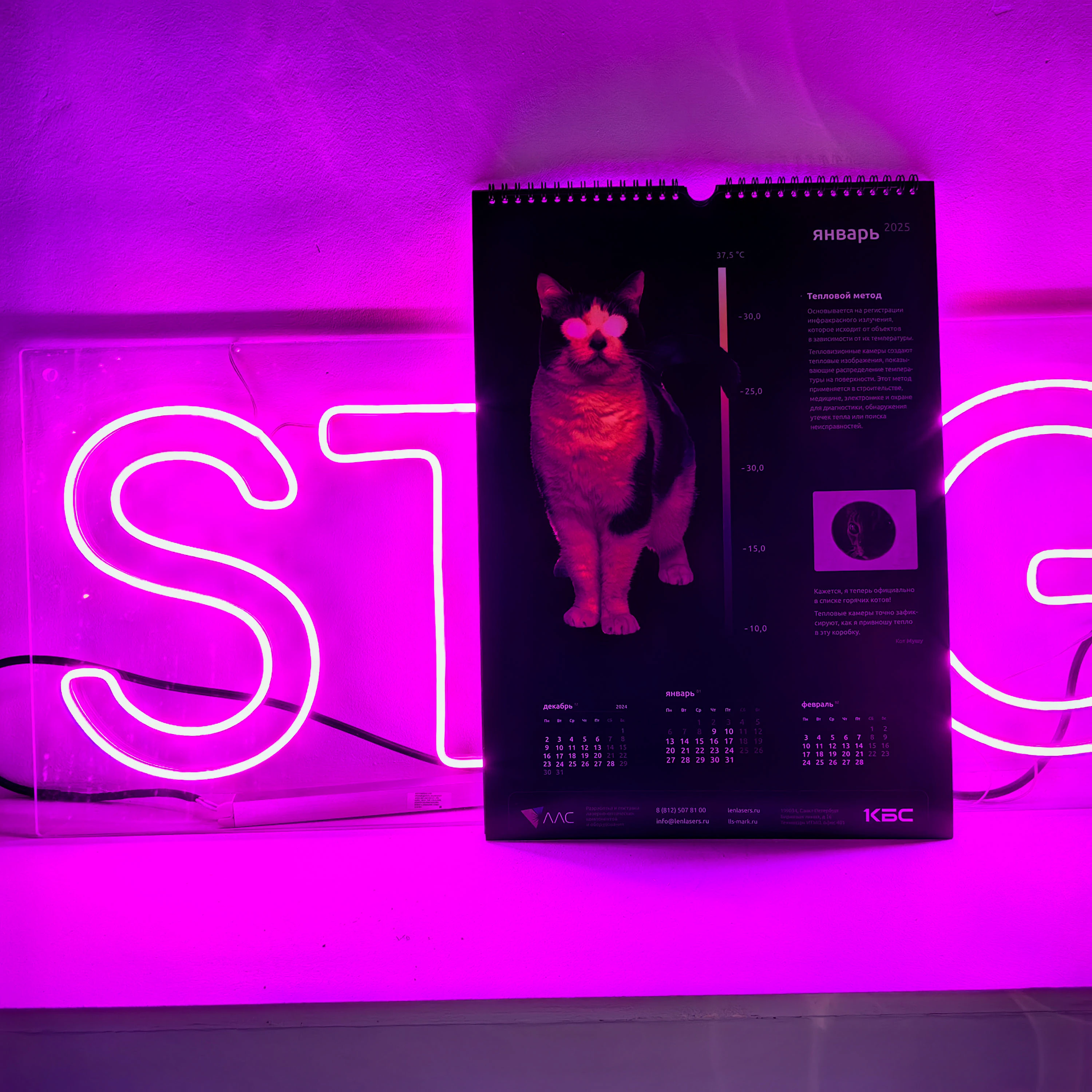 Календарь 2025, LLS. Schrodinger's cat — Изображение №7 — Брендинг, Графика на Dprofile