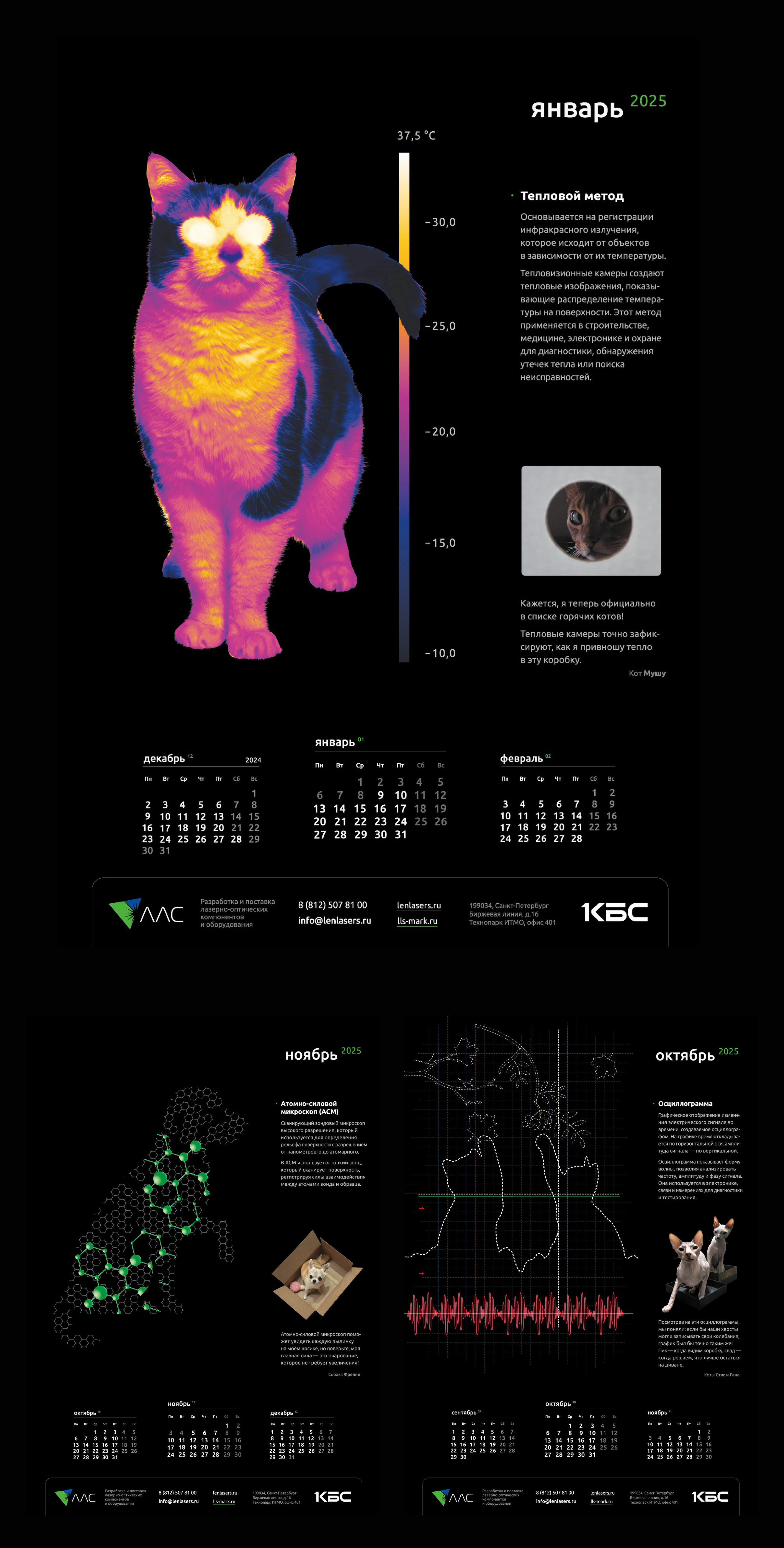 Календарь 2025, LLS. Schrodinger's cat — Изображение №4 — Брендинг, Графика на Dprofile