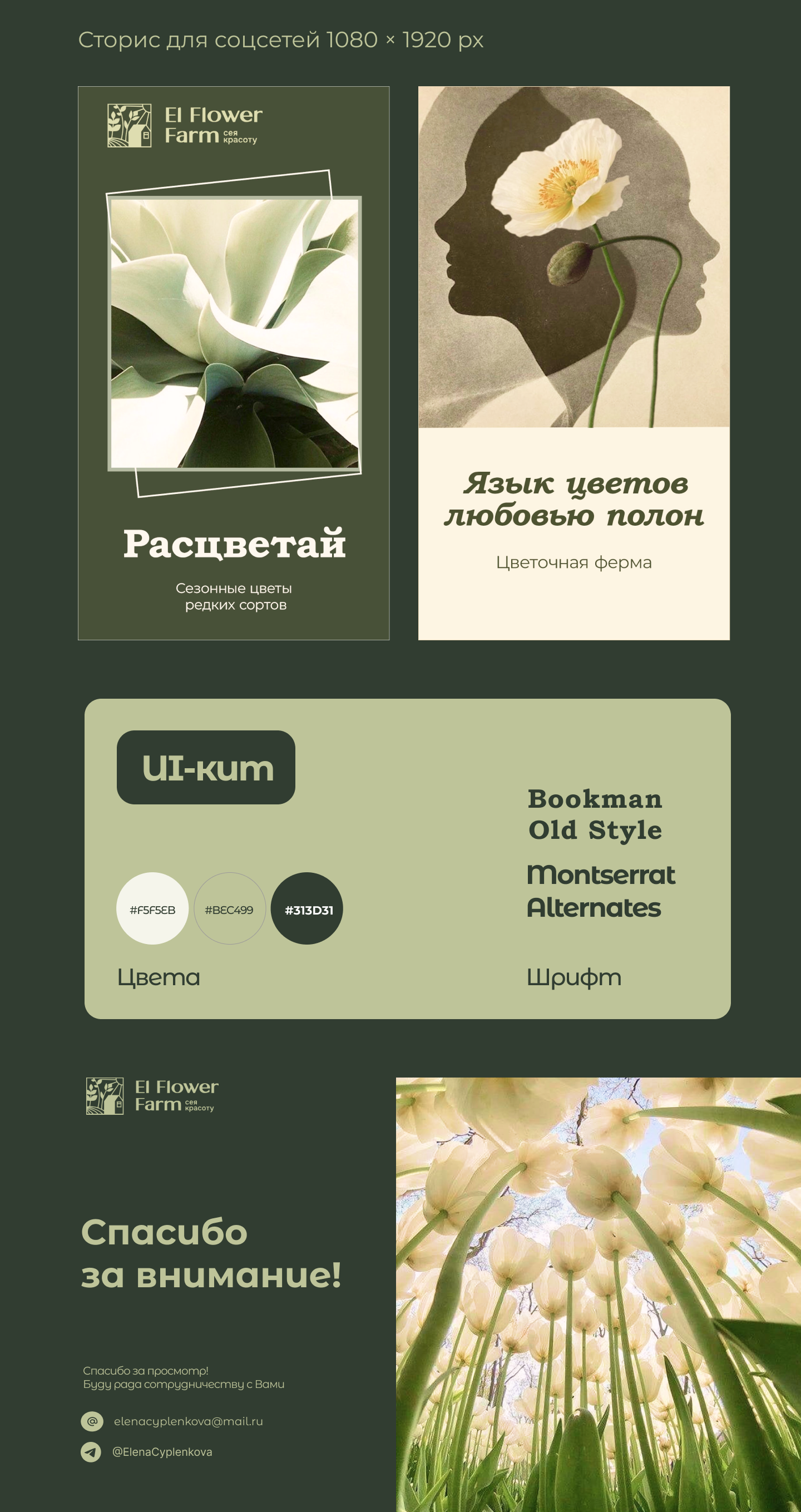 Дизайн баннеров для соцсетей — Изображение №5 — Маркетинг на Dprofile