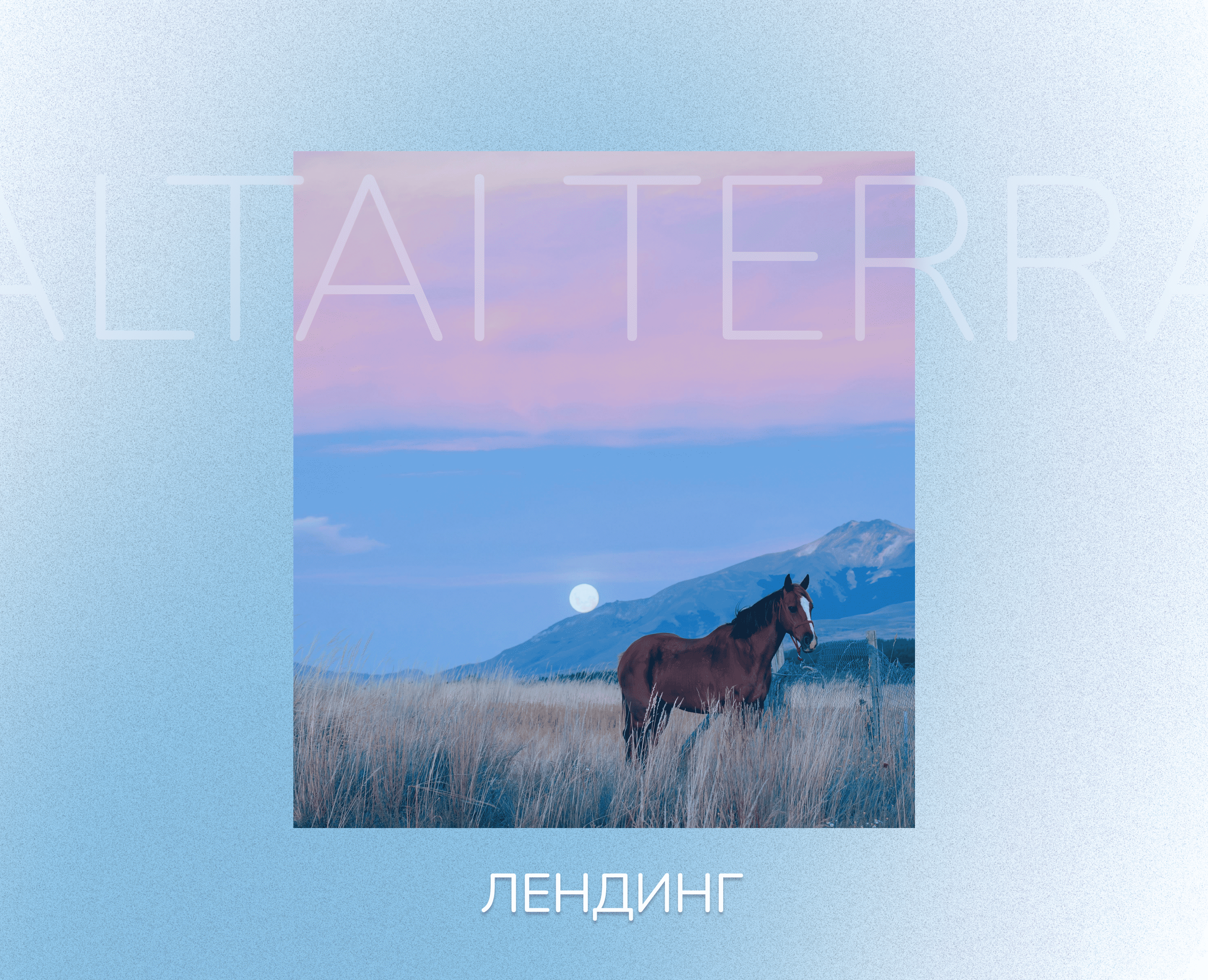 Лендинг для глэмпинга Алтай Терра — Интерфейсы на Dprofile
