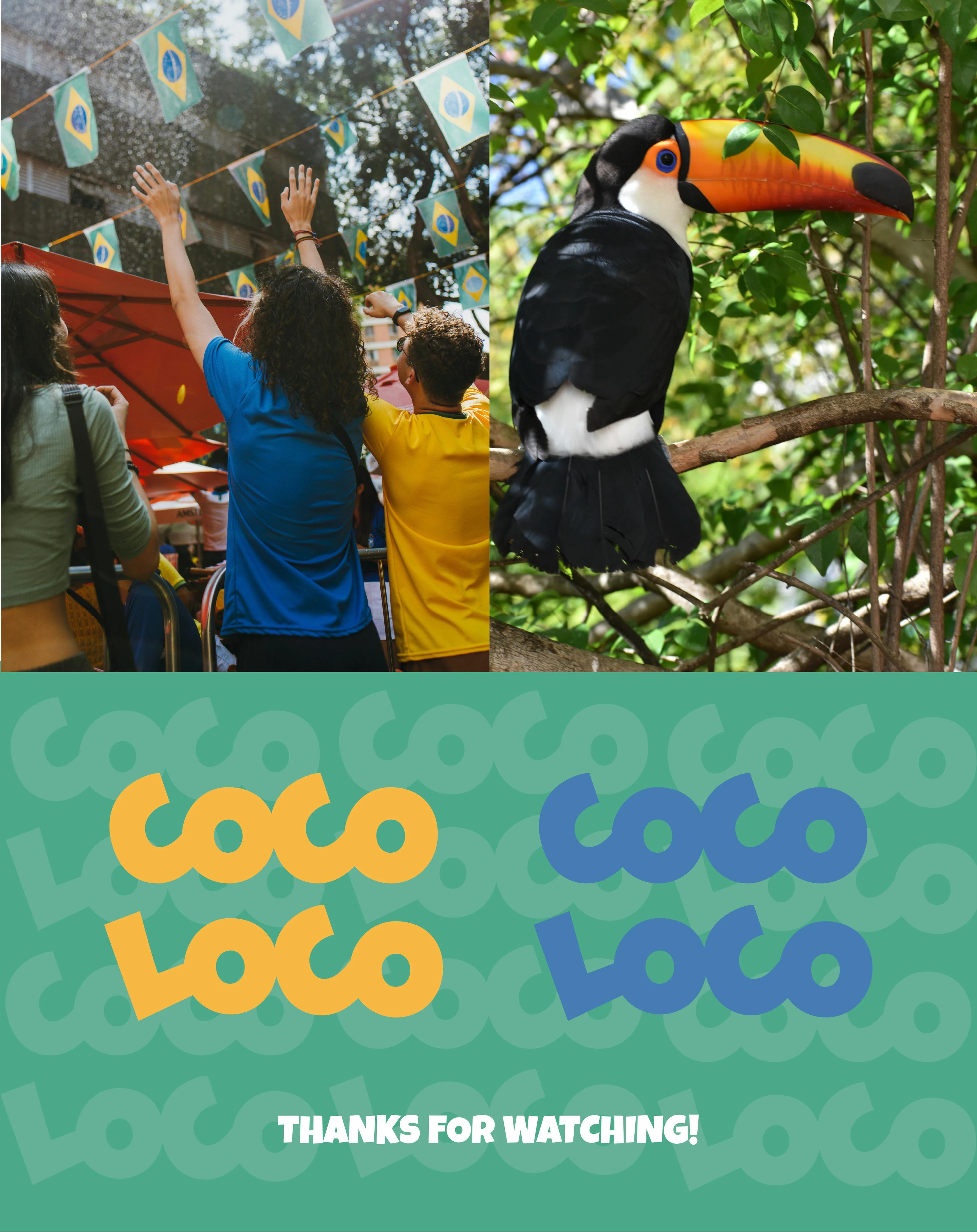 Cocoloco - Упаковка для шоколада — Изображение №2 — Брендинг, Иллюстрация на Dprofile