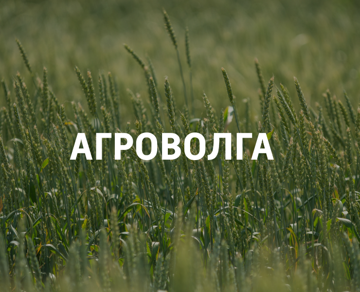 Мерч для выставки "Агроволга" — Брендинг, Графика на Dprofile