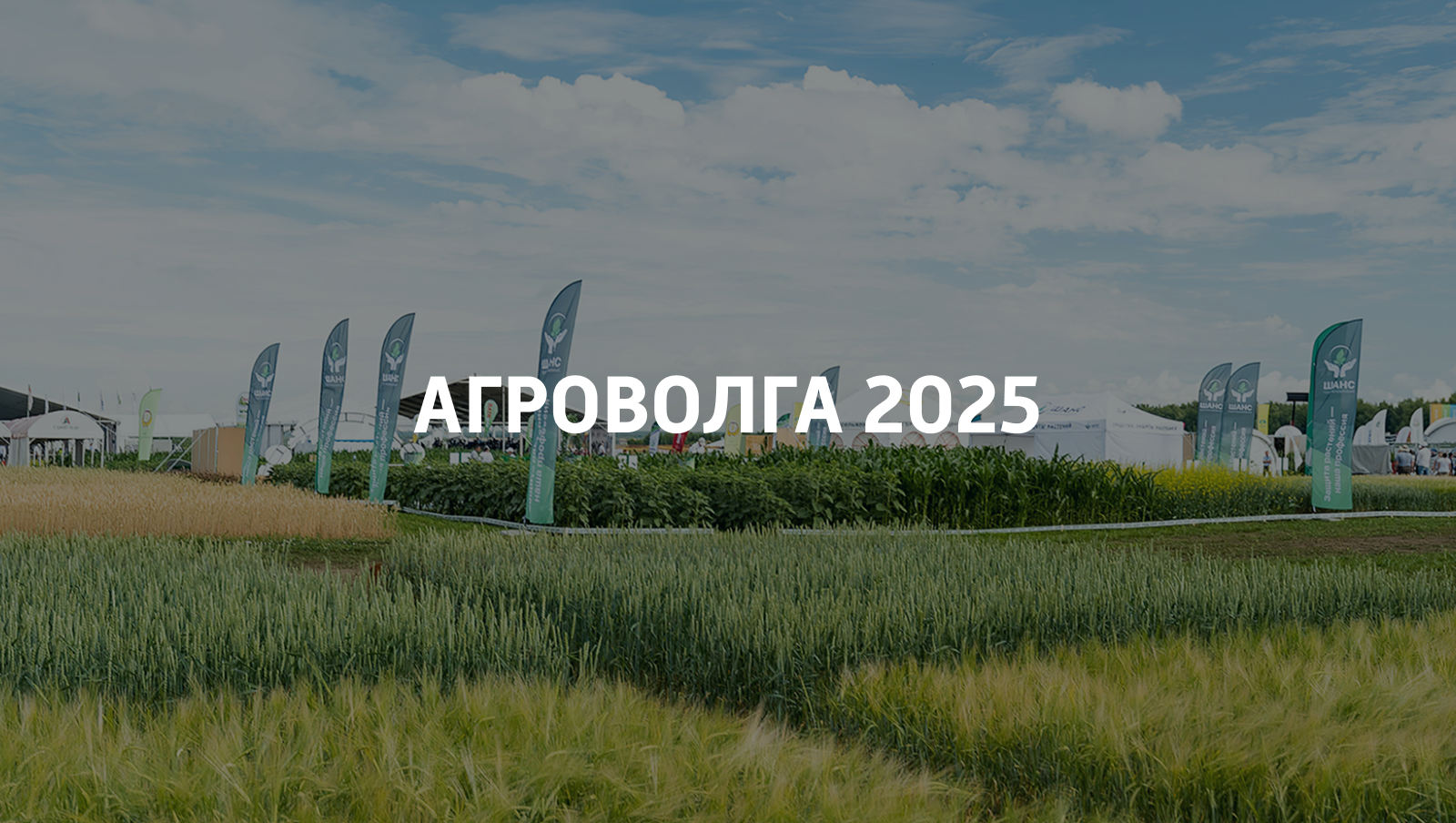 Мерч для выставки "Агроволга" — Изображение №1 — Брендинг, Графика на Dprofile