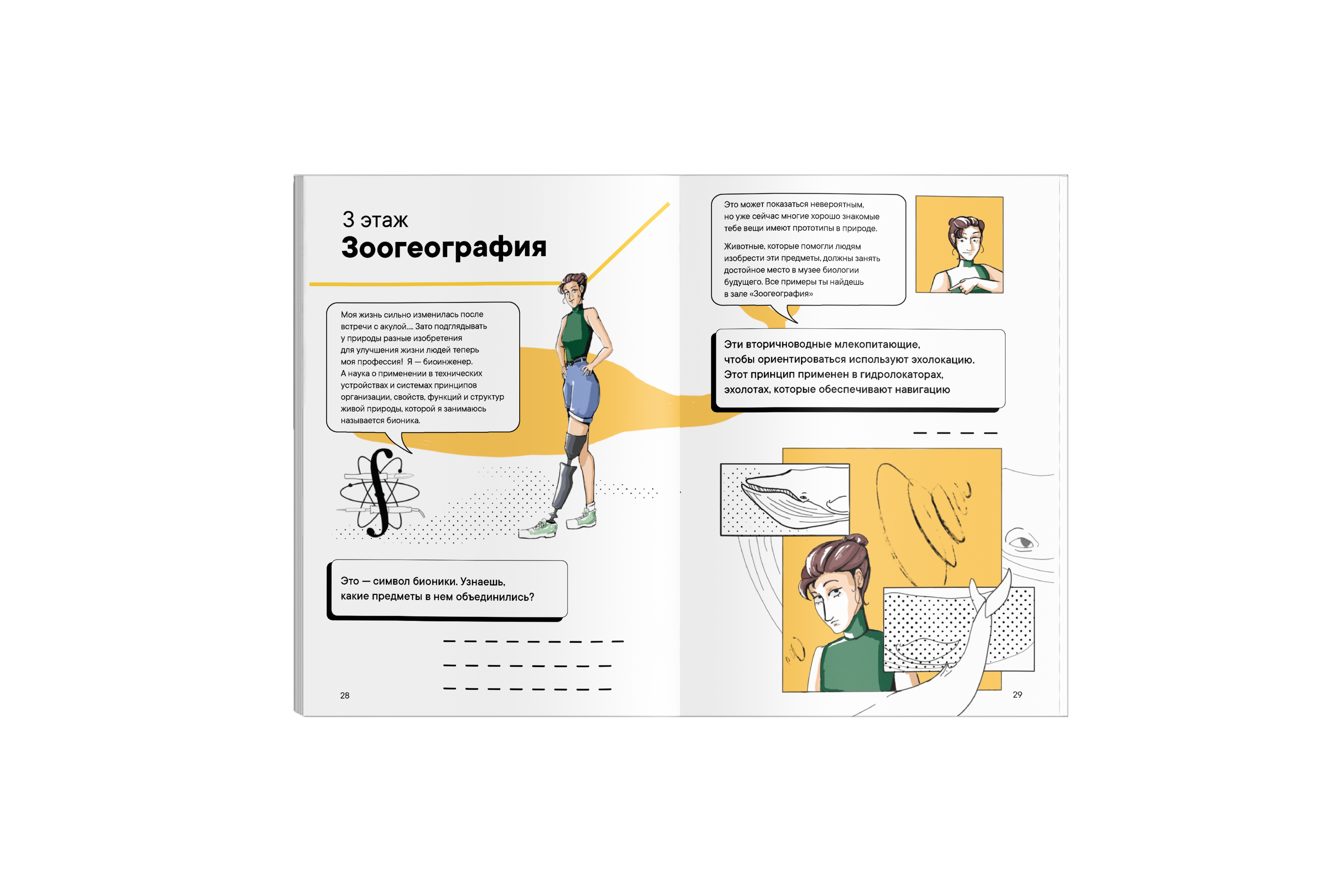 Буклет "Музей биологии будущего" — Изображение №6 — Иллюстрация, Графика на Dprofile