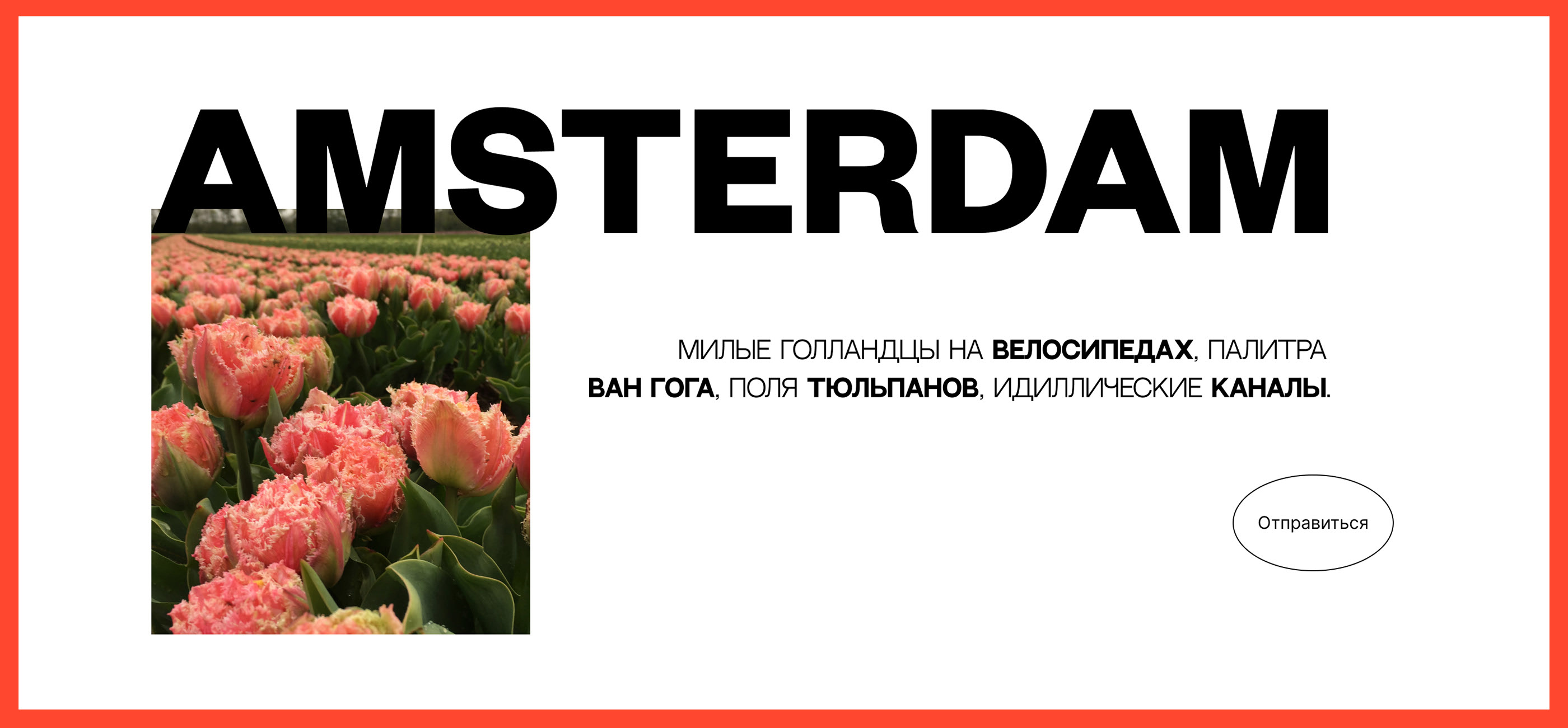 Amsterdam Landing page — Изображение №1 — Интерфейсы, Маркетинг на Dprofile