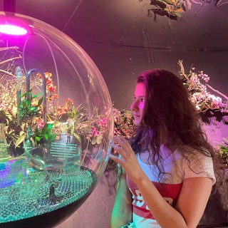 Аватар пользователя Alina Kaurina