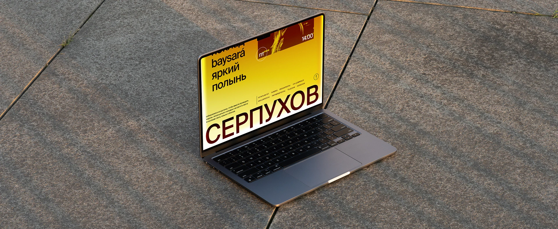 Маслёнка фест — Изображение №11 — Брендинг, Графика на Dprofile