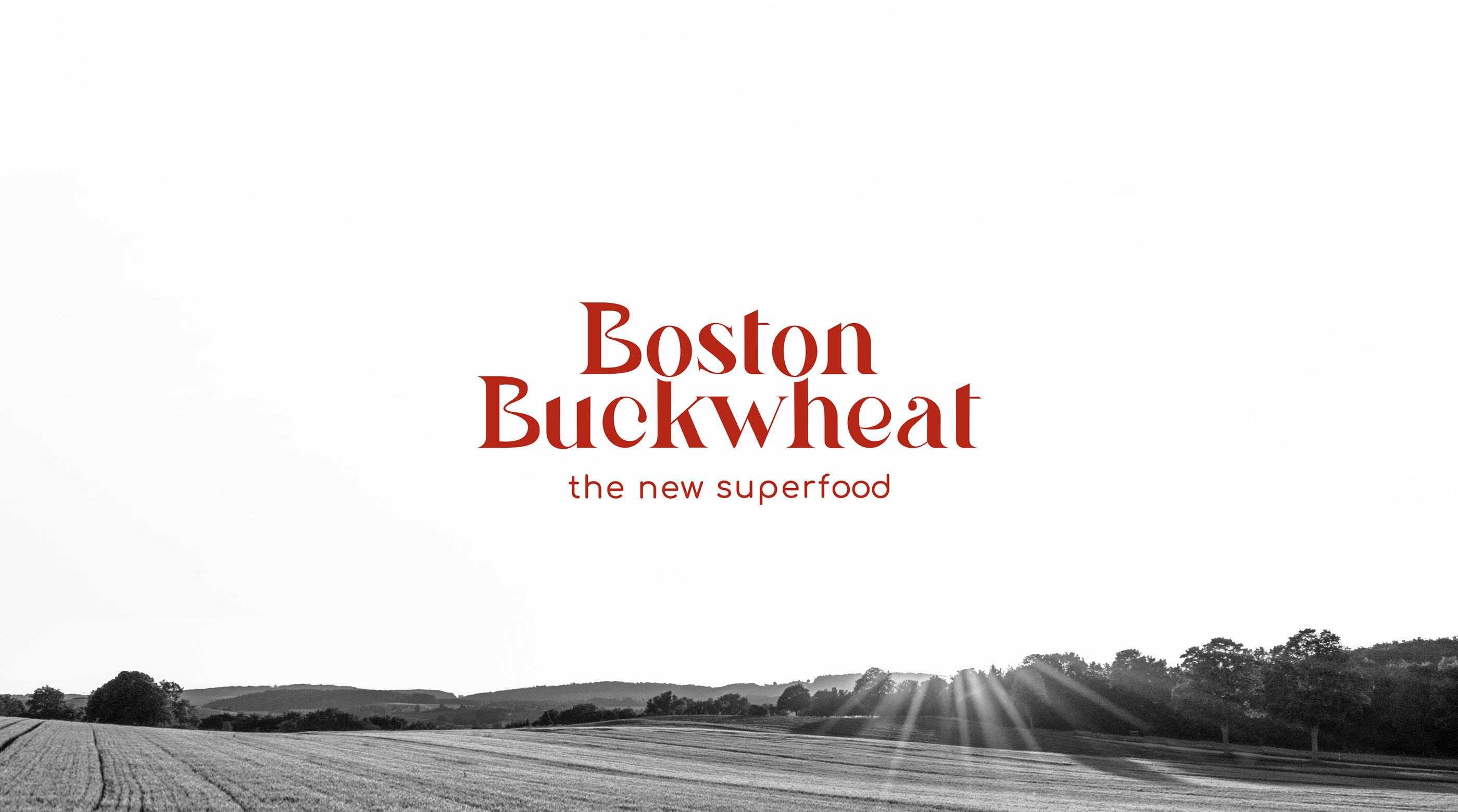 Boston Buckwheat — Изображение №2 — Брендинг, Графика на Dprofile