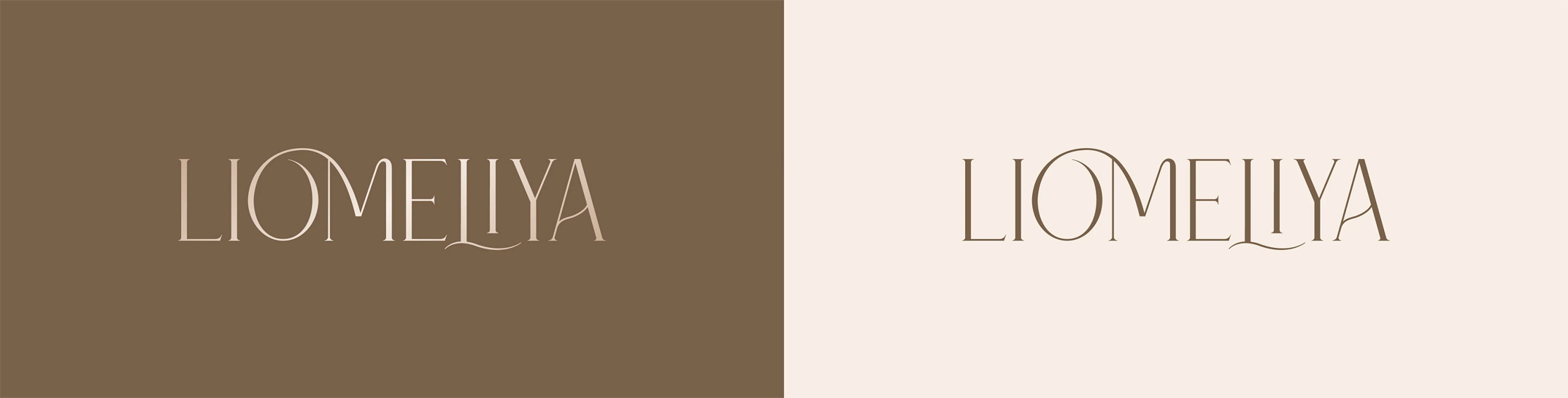 LIOMELIYA - бренд женской одежды, брендинг — Изображение №2 — Брендинг на Dprofile