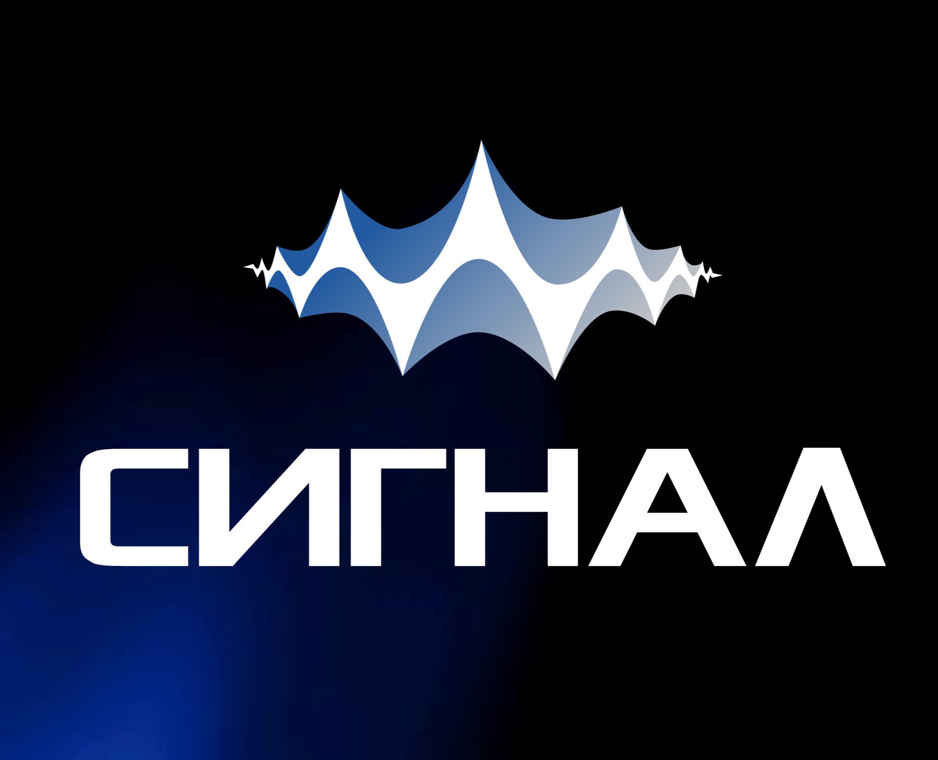 Разработка айдентики для фестиваля СИГНАЛ — Брендинг, Графика на Dprofile