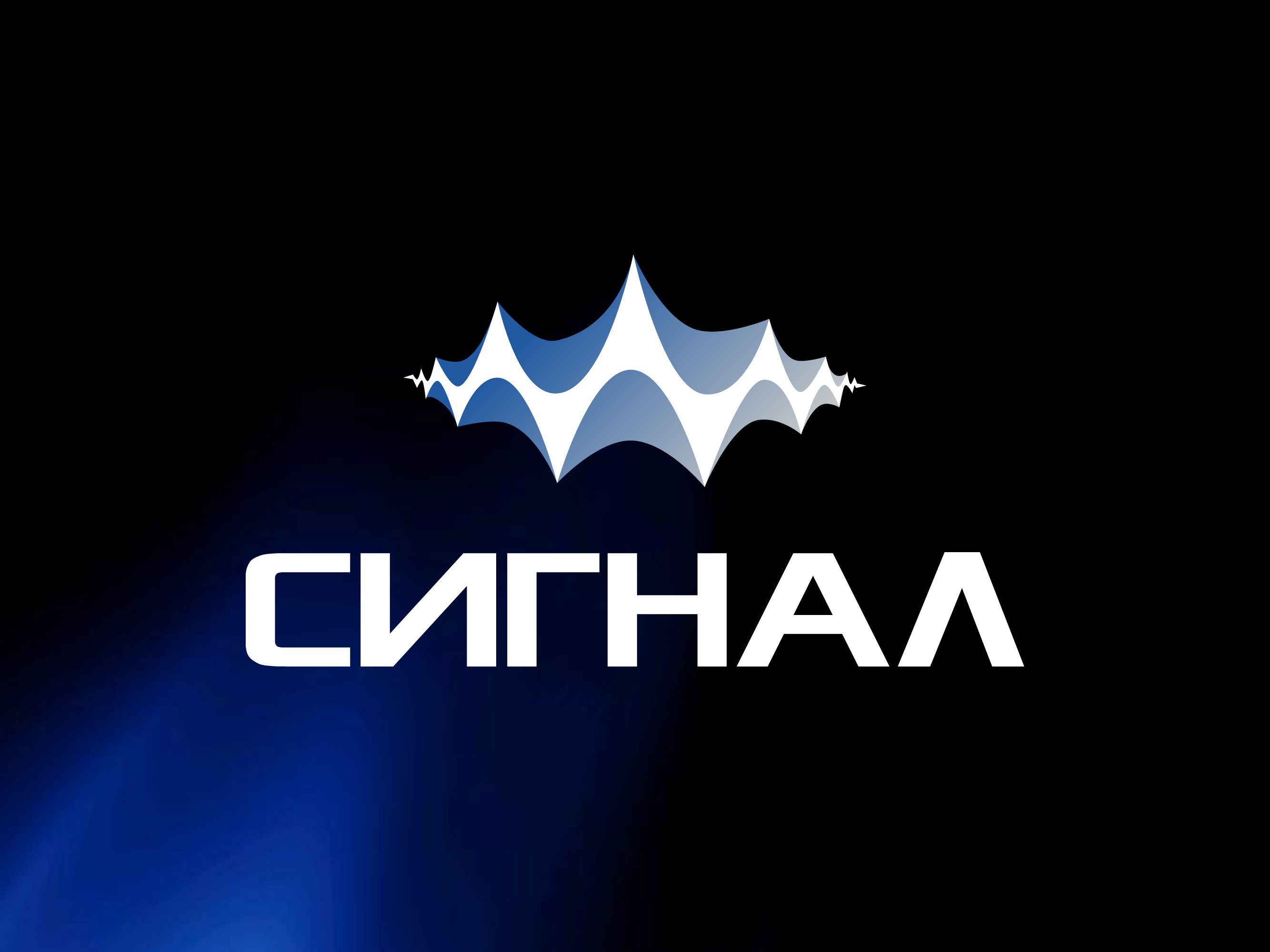 Разработка айдентики для фестиваля СИГНАЛ — Изображение №1 — Брендинг, Графика на Dprofile