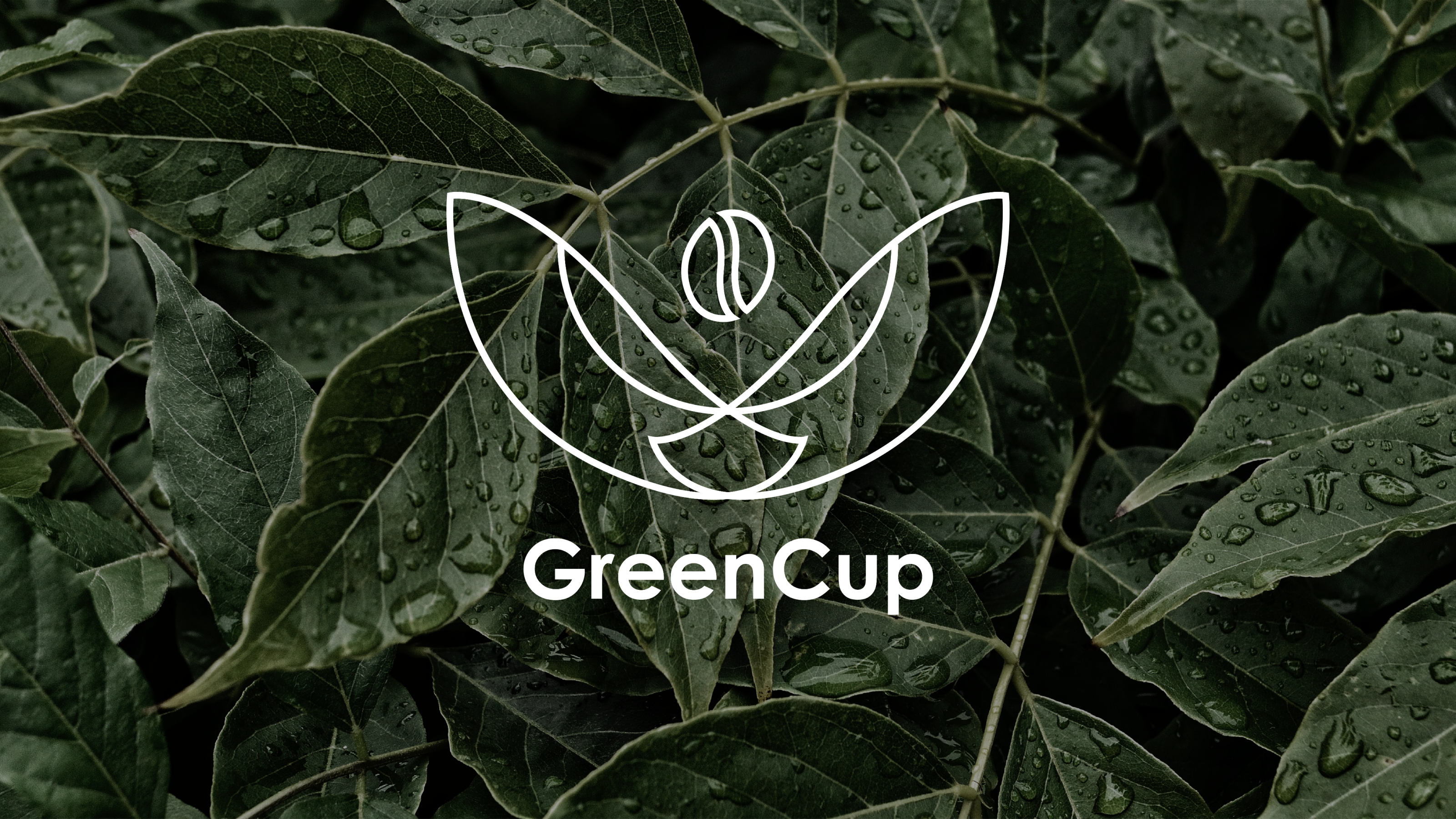 Фирменный стиль кофейни GreenCup — Изображение №1 — Брендинг на Dprofile