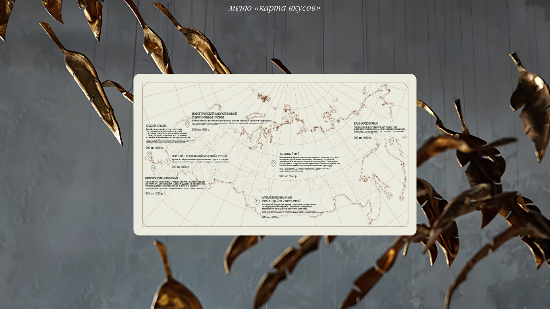 TOUCH — Изображение №5 — Брендинг, Маркетинг на Dprofile