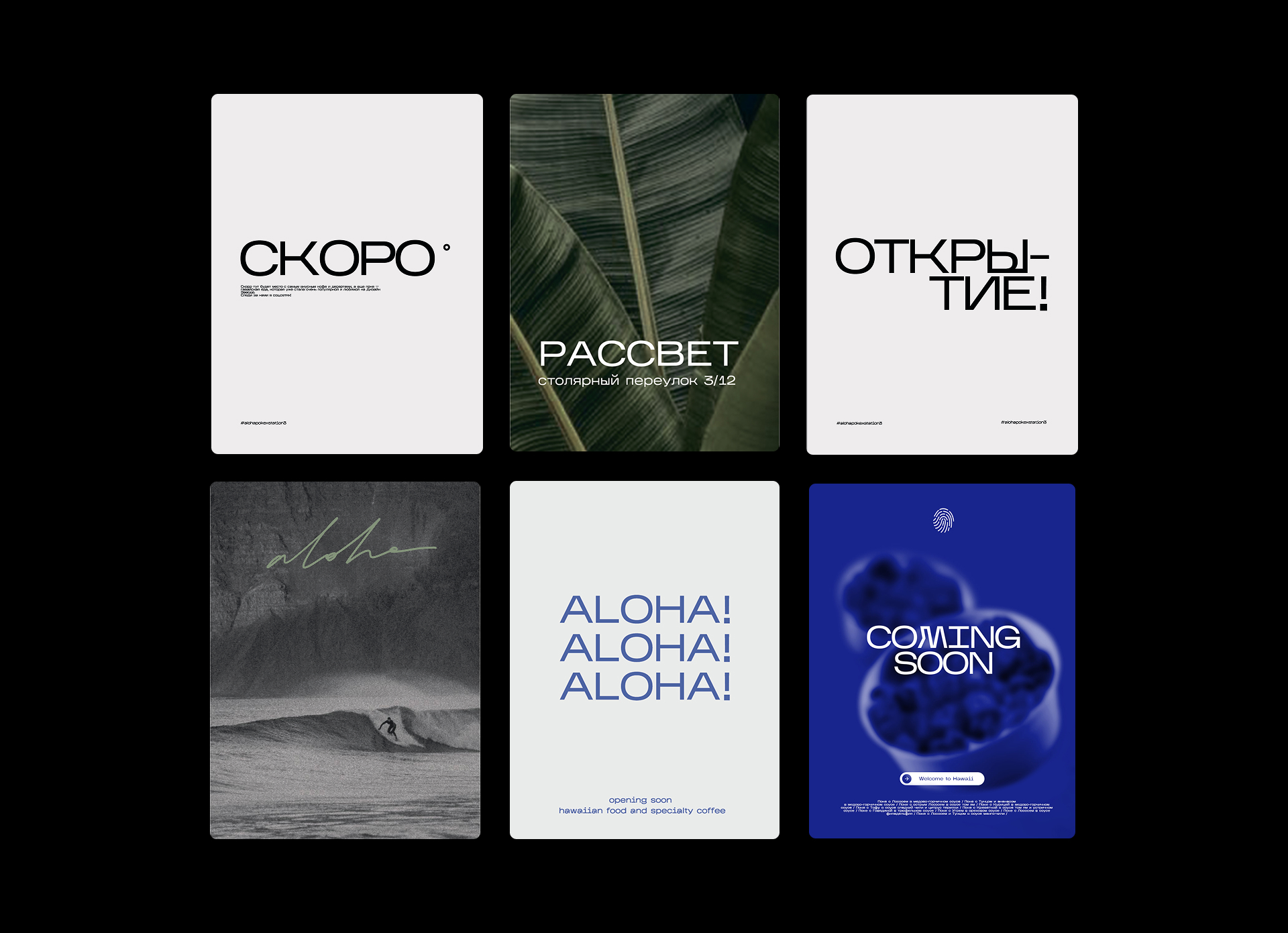 alohapoke — Изображение №13 — Брендинг, Маркетинг на Dprofile