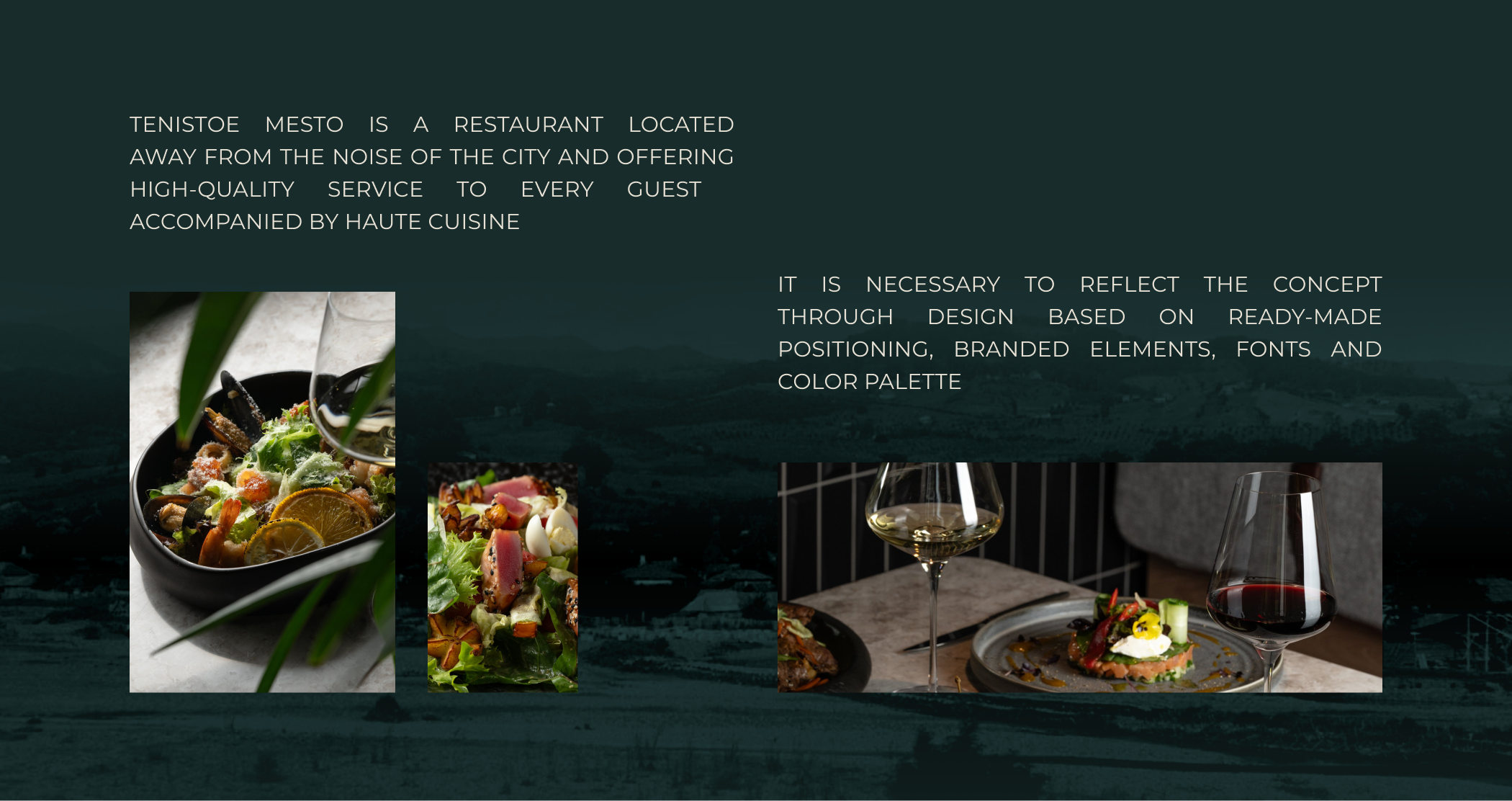 Tenistoe mesto | Restaurant & Delivery | Website — Изображение №2 — Интерфейсы на Dprofile