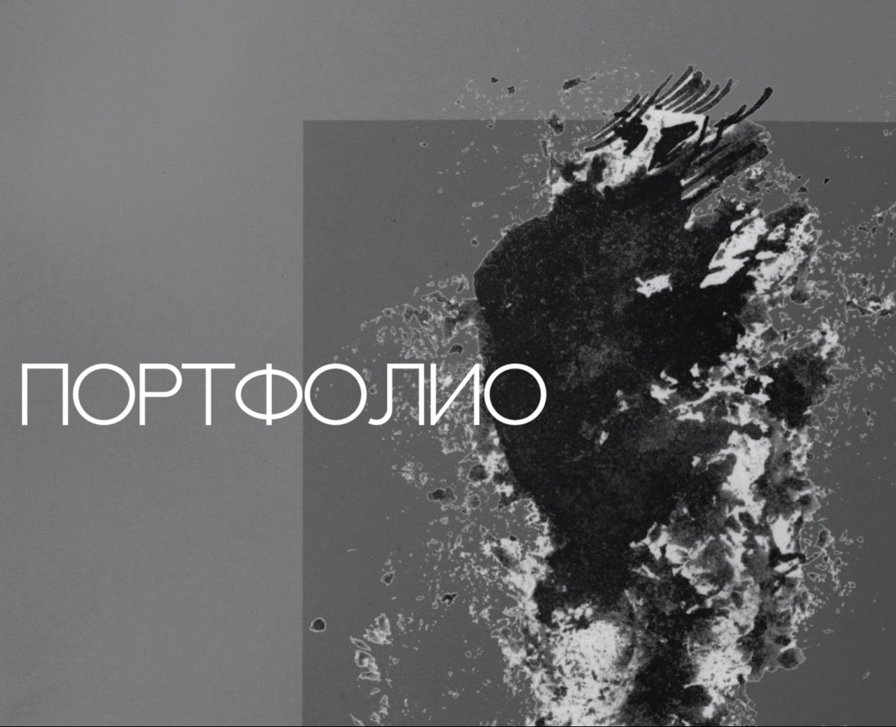Портфолио — Иллюстрация на Dprofile