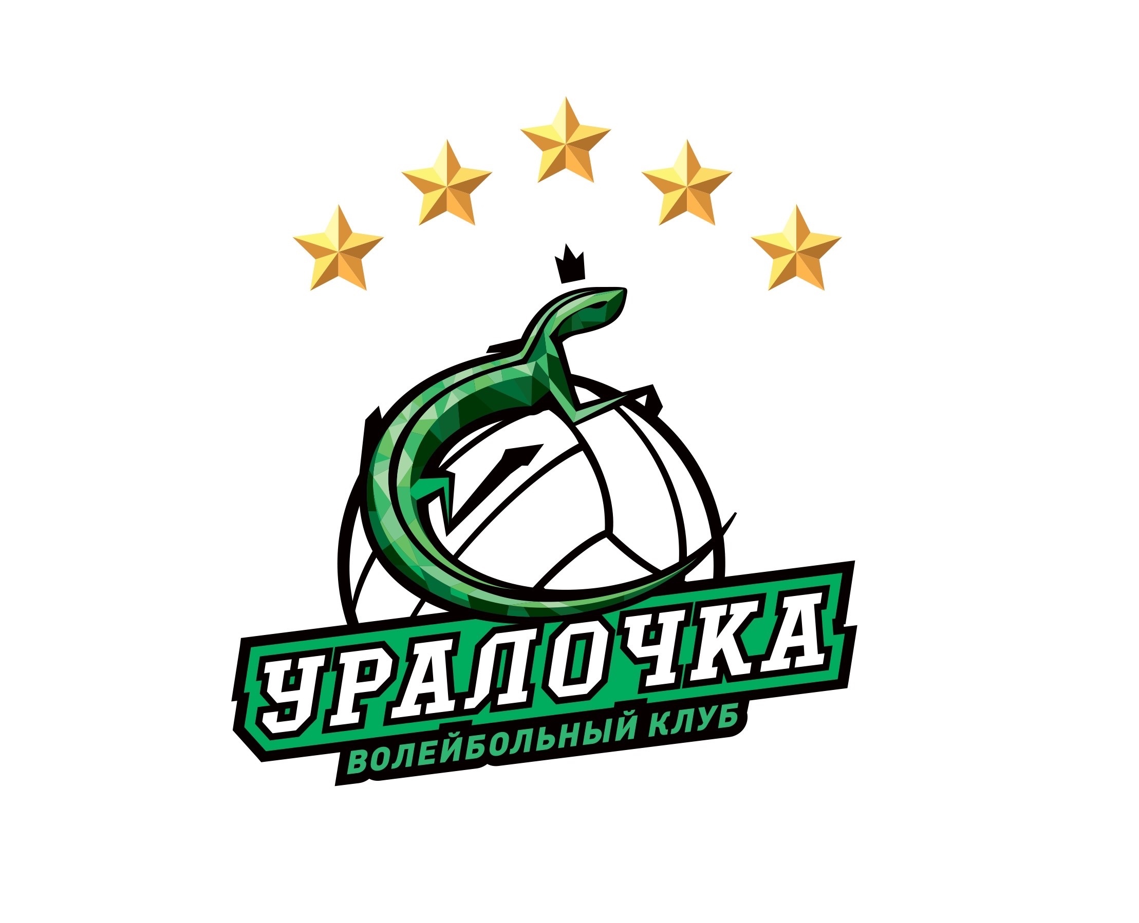 Медиа-контент для волейбольного клуба на Dprofile