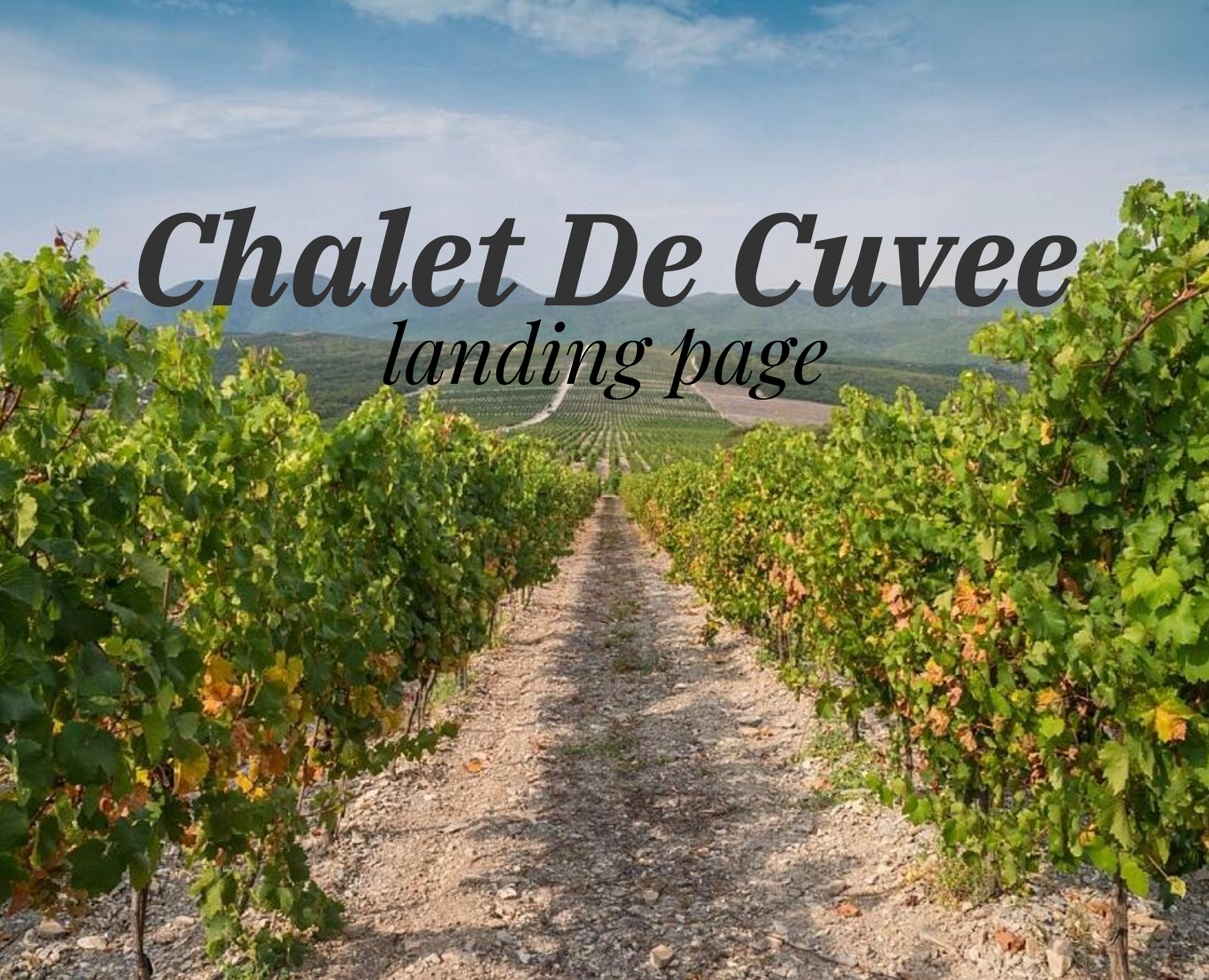 Landing page Chalet de cuvee Абрау-Дюрсо — Интерфейсы, Брендинг на Dprofile