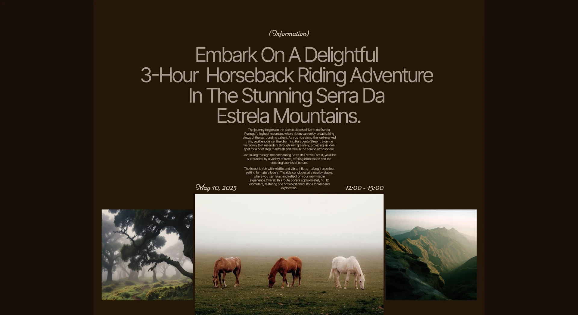 Mountain Spirit — Изображение №15 — Интерфейсы на Dprofile