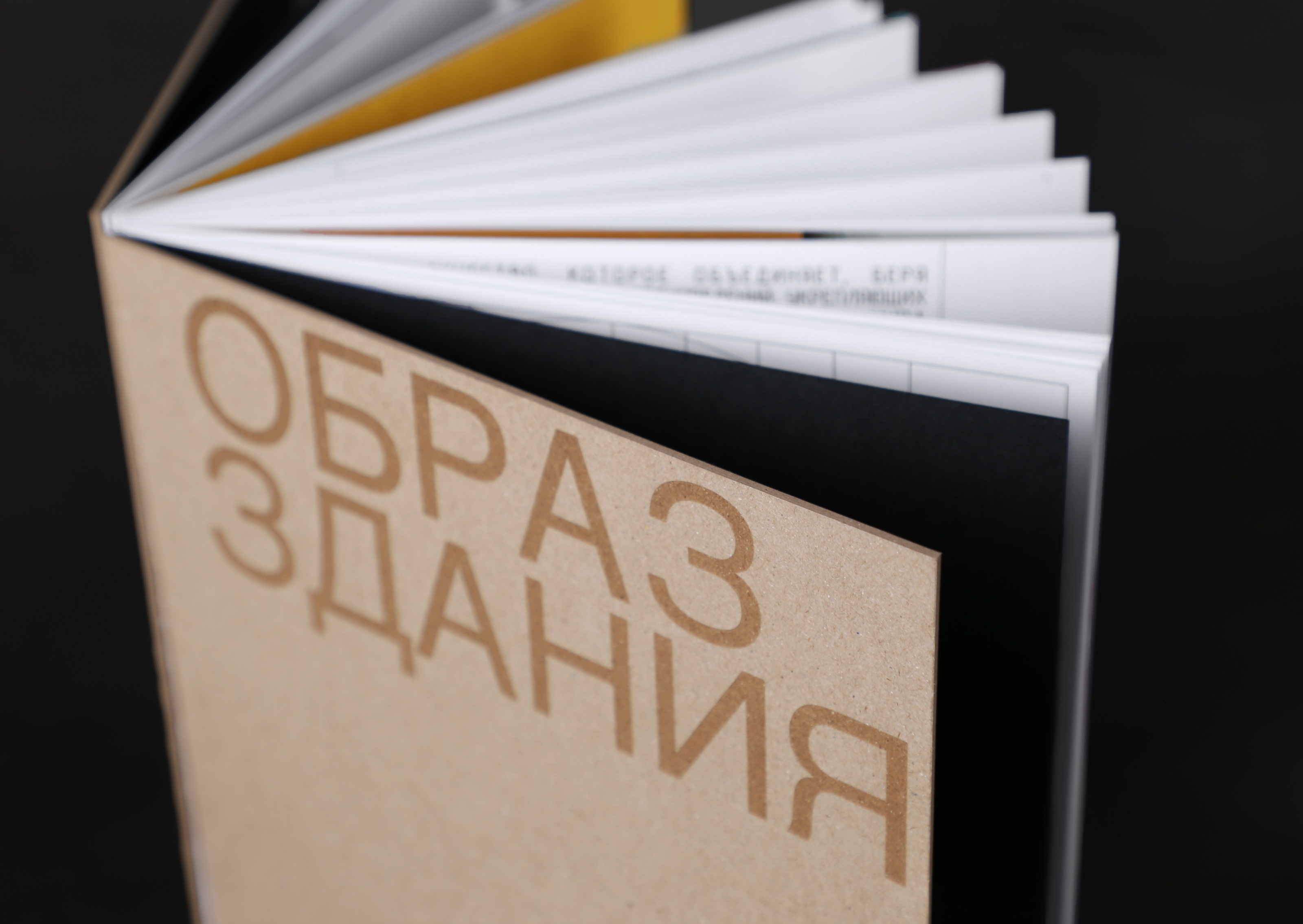 Книга | ОБРАЗ ЗДАНИЯ — Изображение №8 — Графика на Dprofile