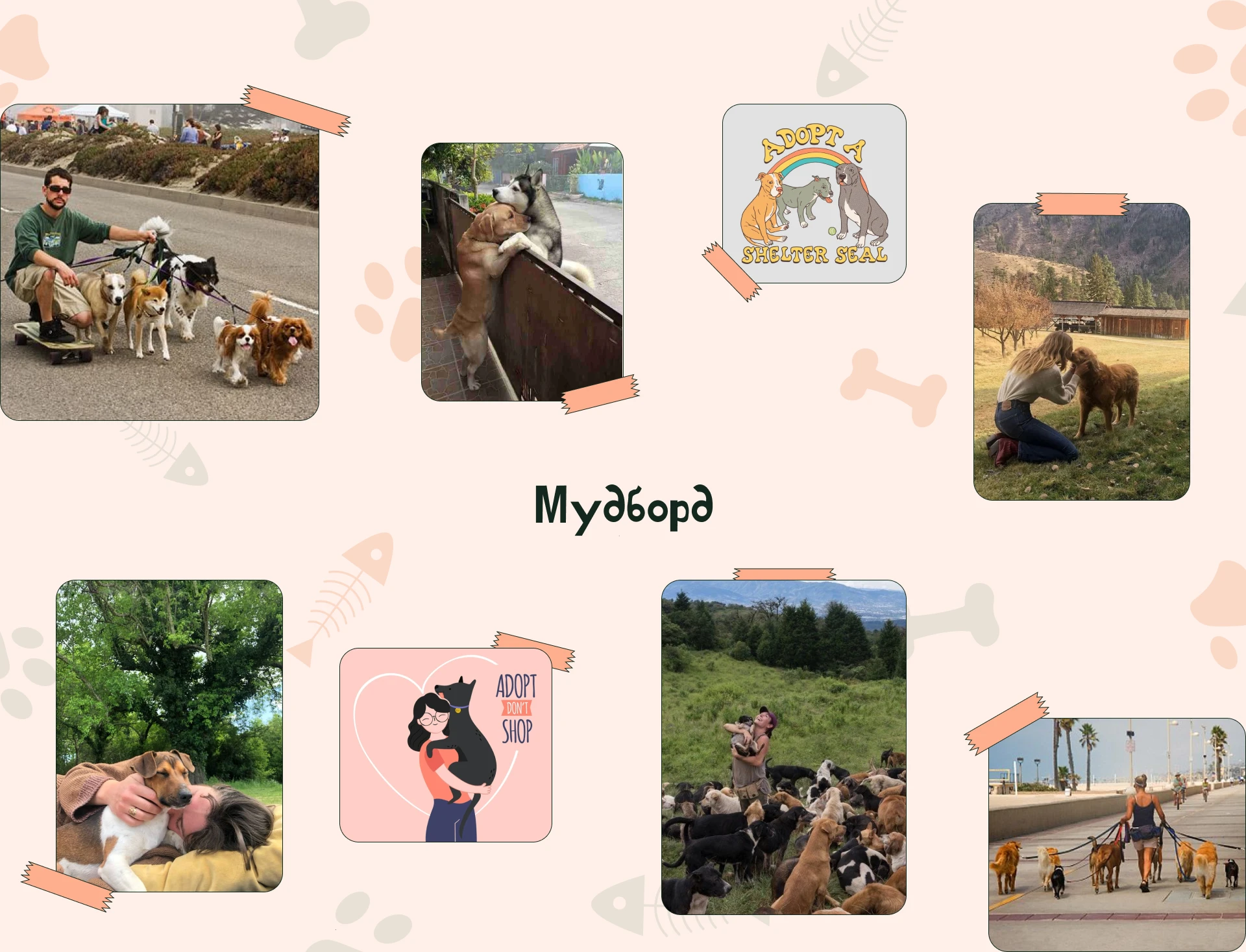 Лендинг для приюта собак — Изображение №5 — Интерфейсы, Брендинг на Dprofile