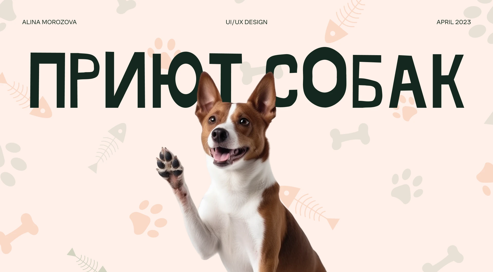 Лендинг для приюта собак — Изображение №1 — Интерфейсы, Брендинг на Dprofile