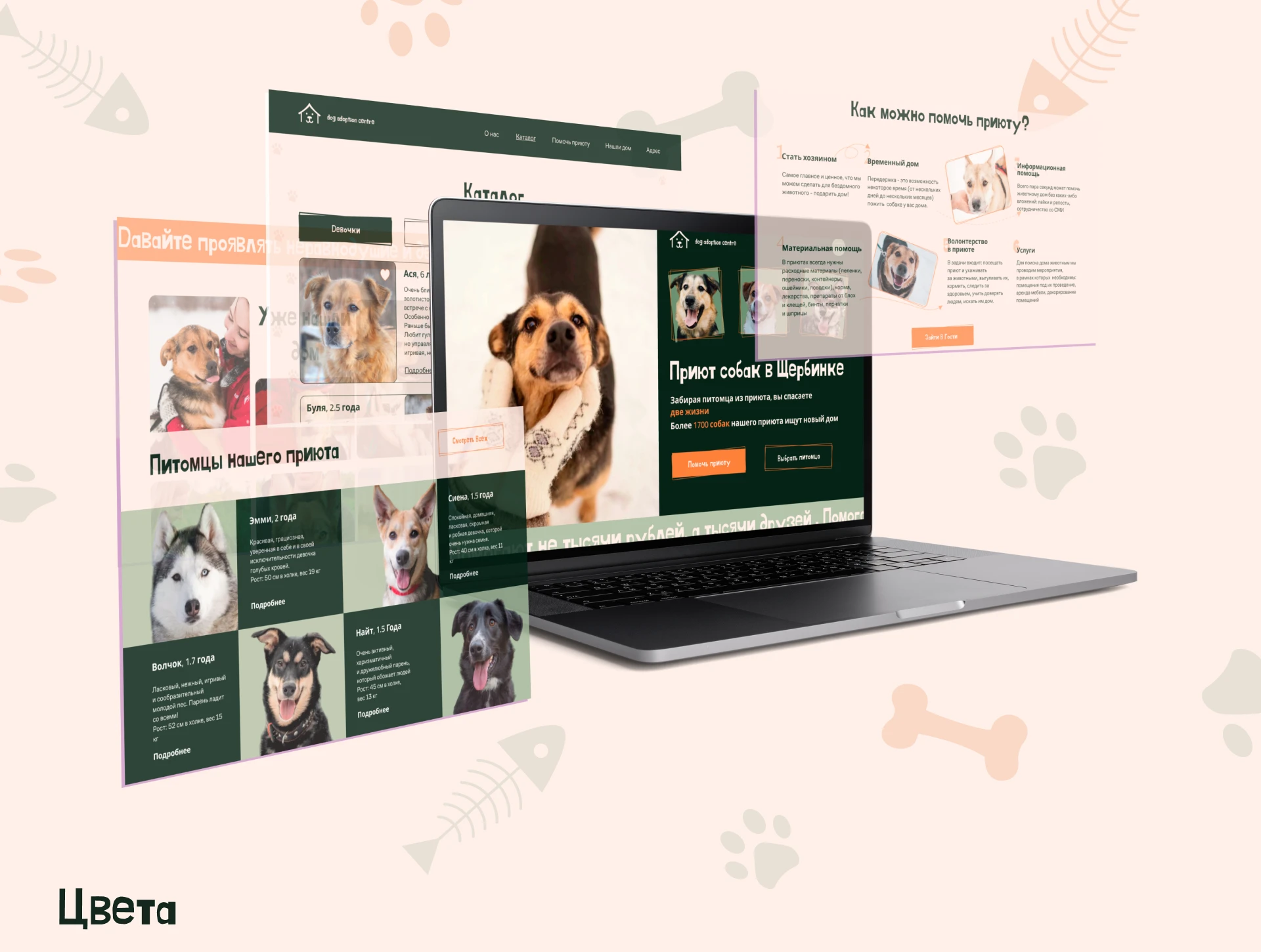 Лендинг для приюта собак — Изображение №3 — Интерфейсы, Брендинг на Dprofile