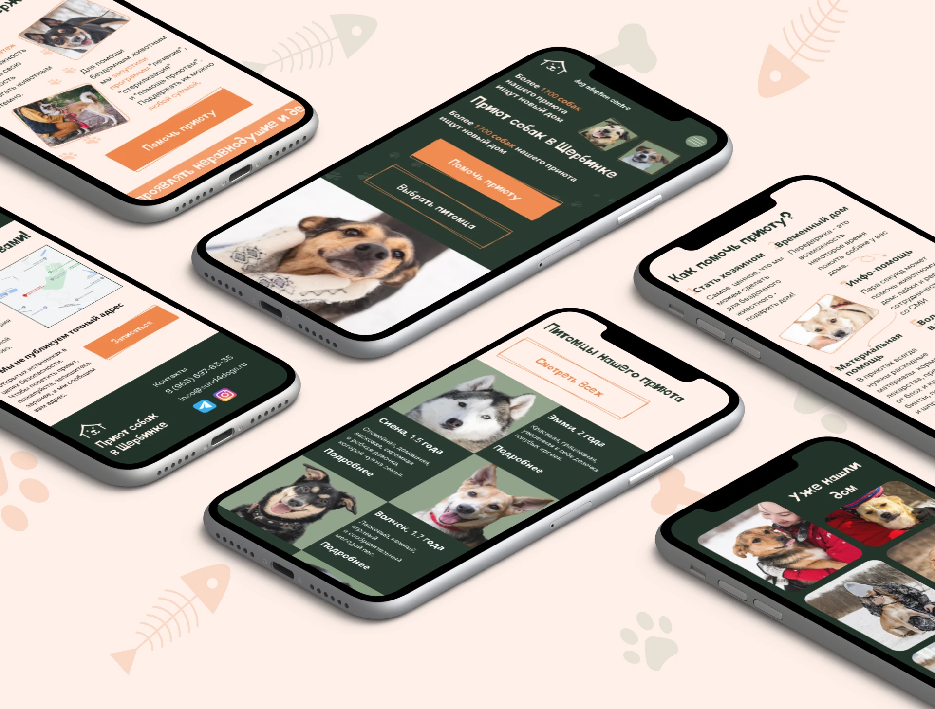 Лендинг для приюта собак — Изображение №14 — Интерфейсы, Брендинг на Dprofile