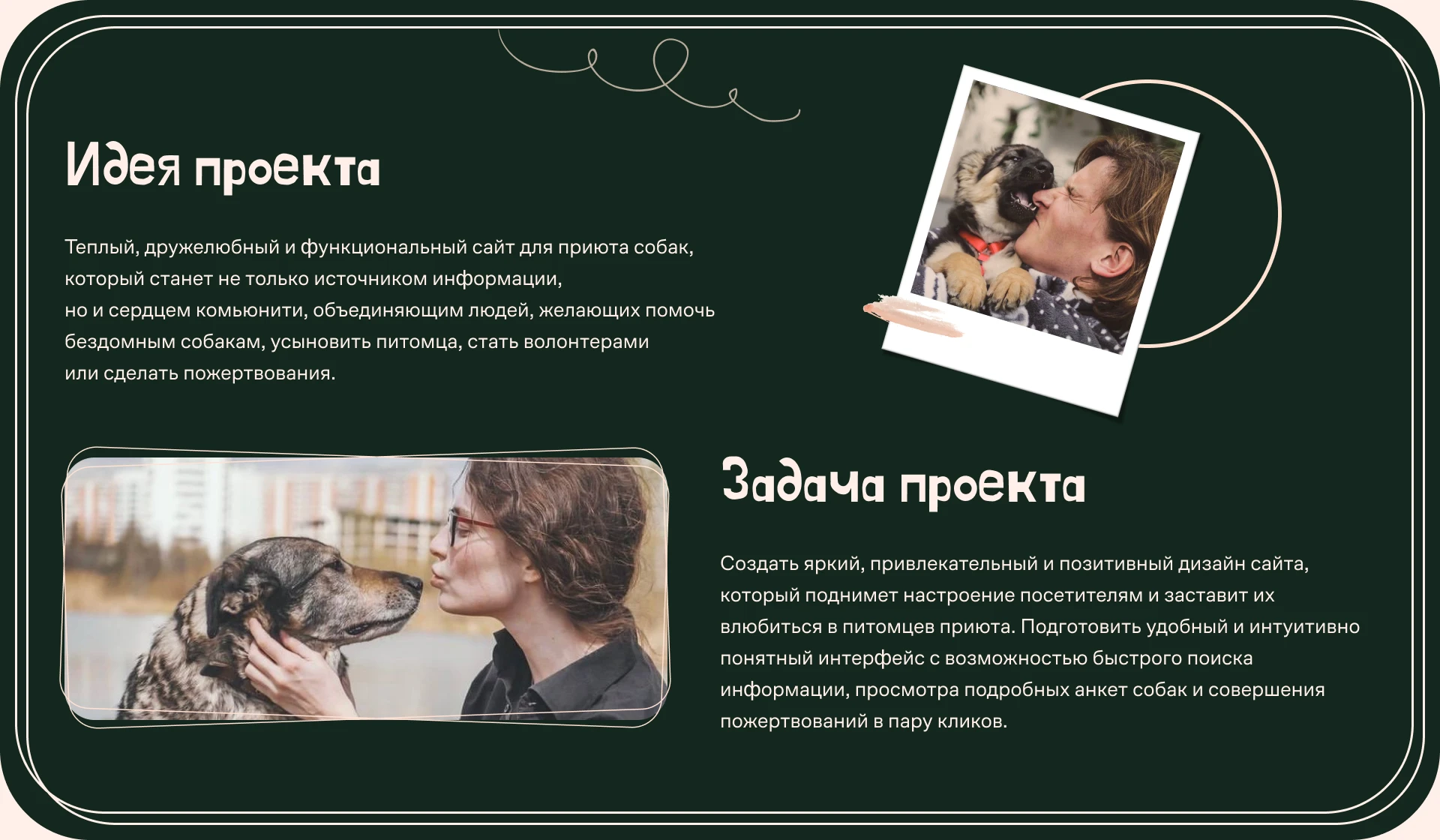 Лендинг для приюта собак — Изображение №2 — Интерфейсы, Брендинг на Dprofile