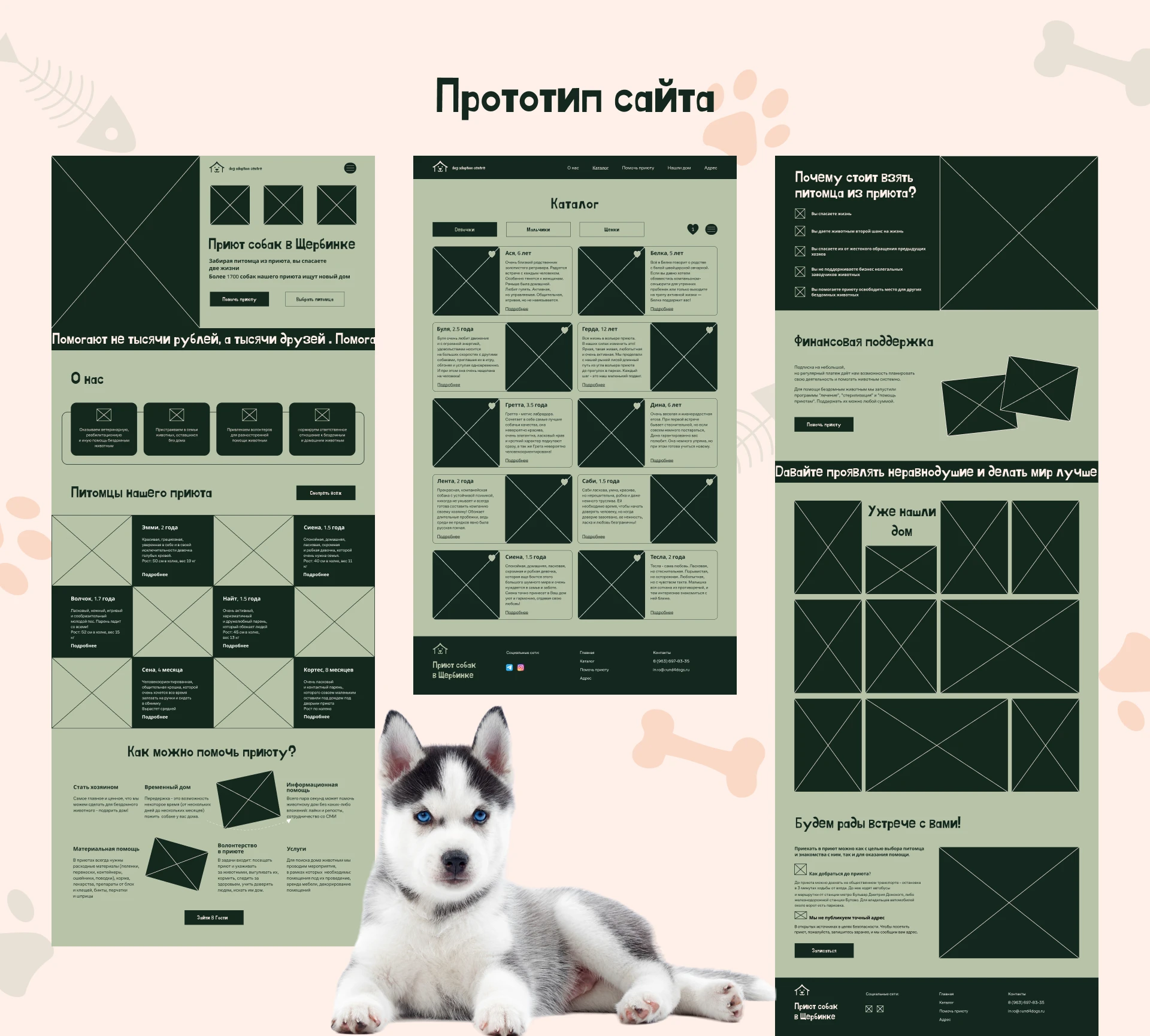 Лендинг для приюта собак — Изображение №7 — Интерфейсы, Брендинг на Dprofile