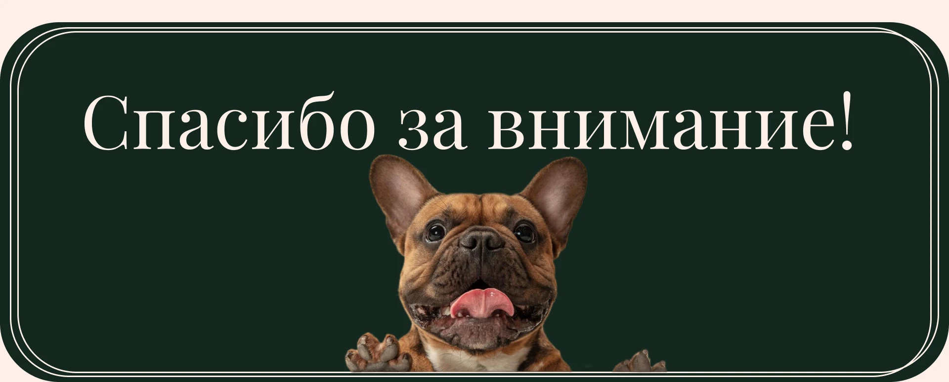 Лендинг для приюта собак — Изображение №15 — Интерфейсы, Брендинг на Dprofile