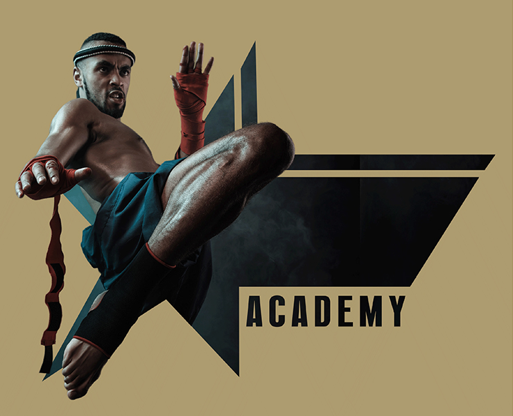 Логотип для New Jersey Muay Thai Academy — Изображение №2 — Брендинг, Графика на Dprofile