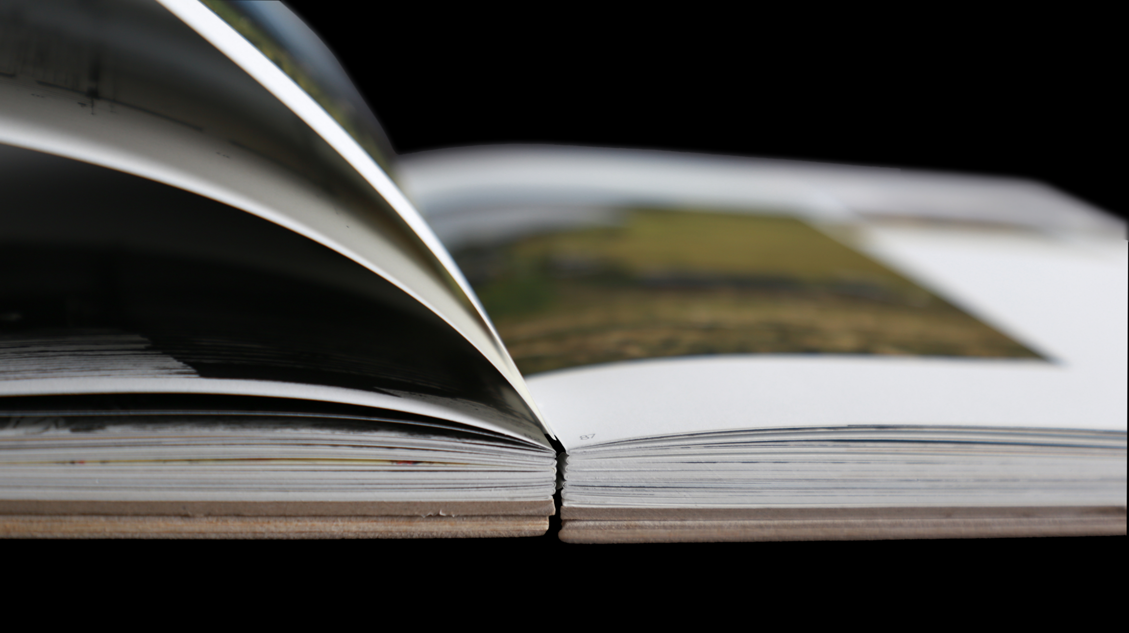 Деревянное зодчество Русского Севера. Исследование — Изображение №3 — Графика на Dprofile