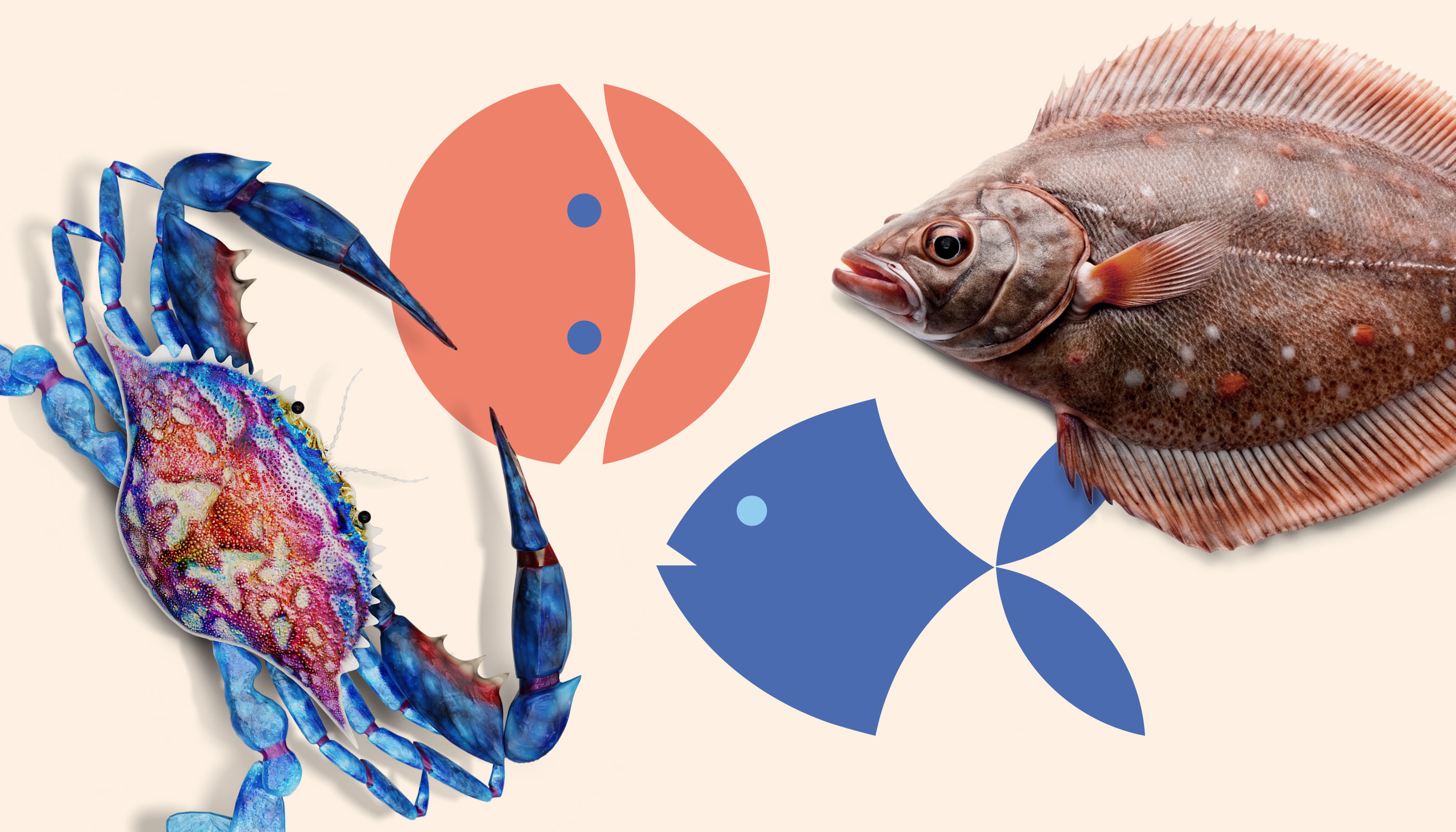 Магазин морепродуктов Fish Market — Изображение №3 — Брендинг, Графика на Dprofile