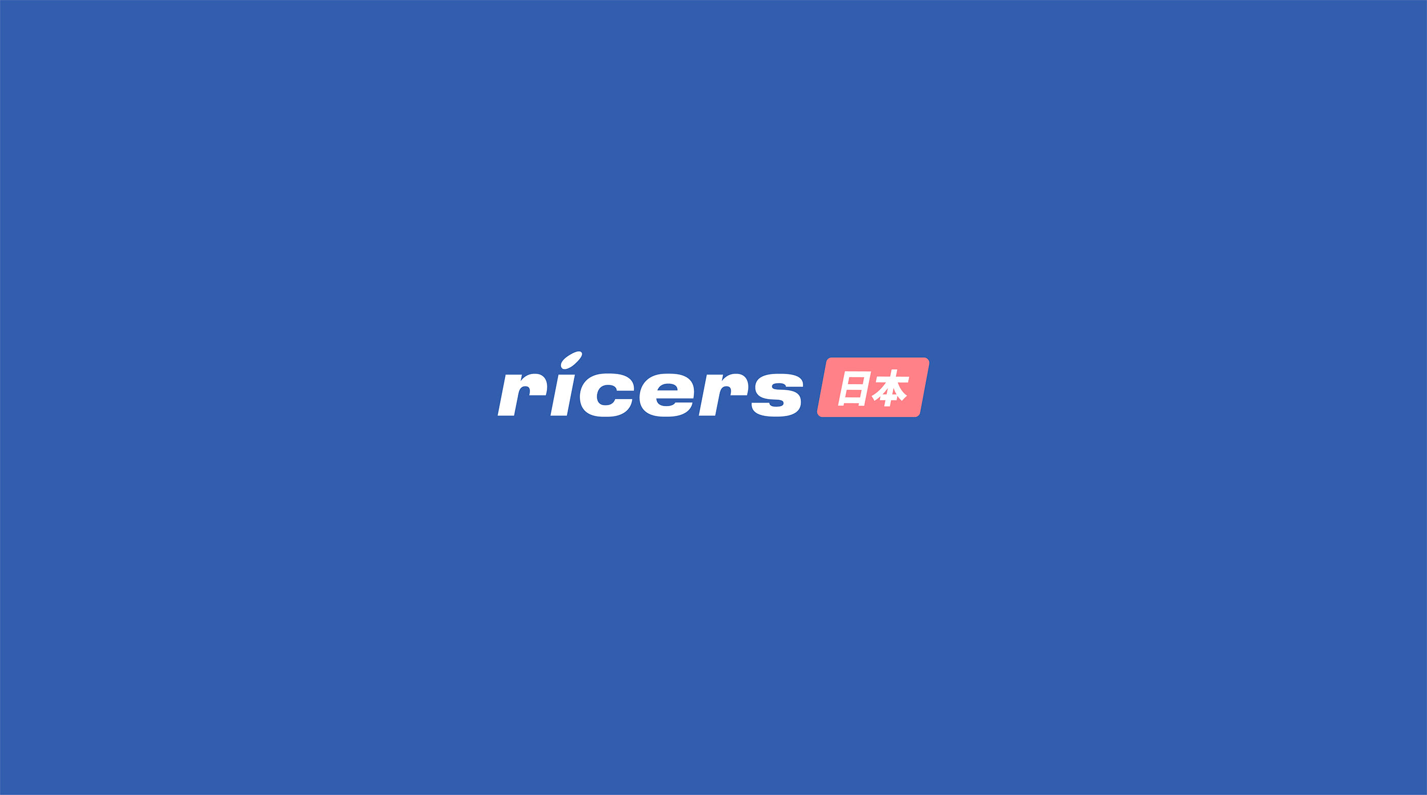 ricers — Изображение №2 — Брендинг на Dprofile