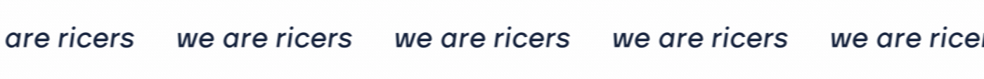 ricers — Изображение №13 — Брендинг на Dprofile