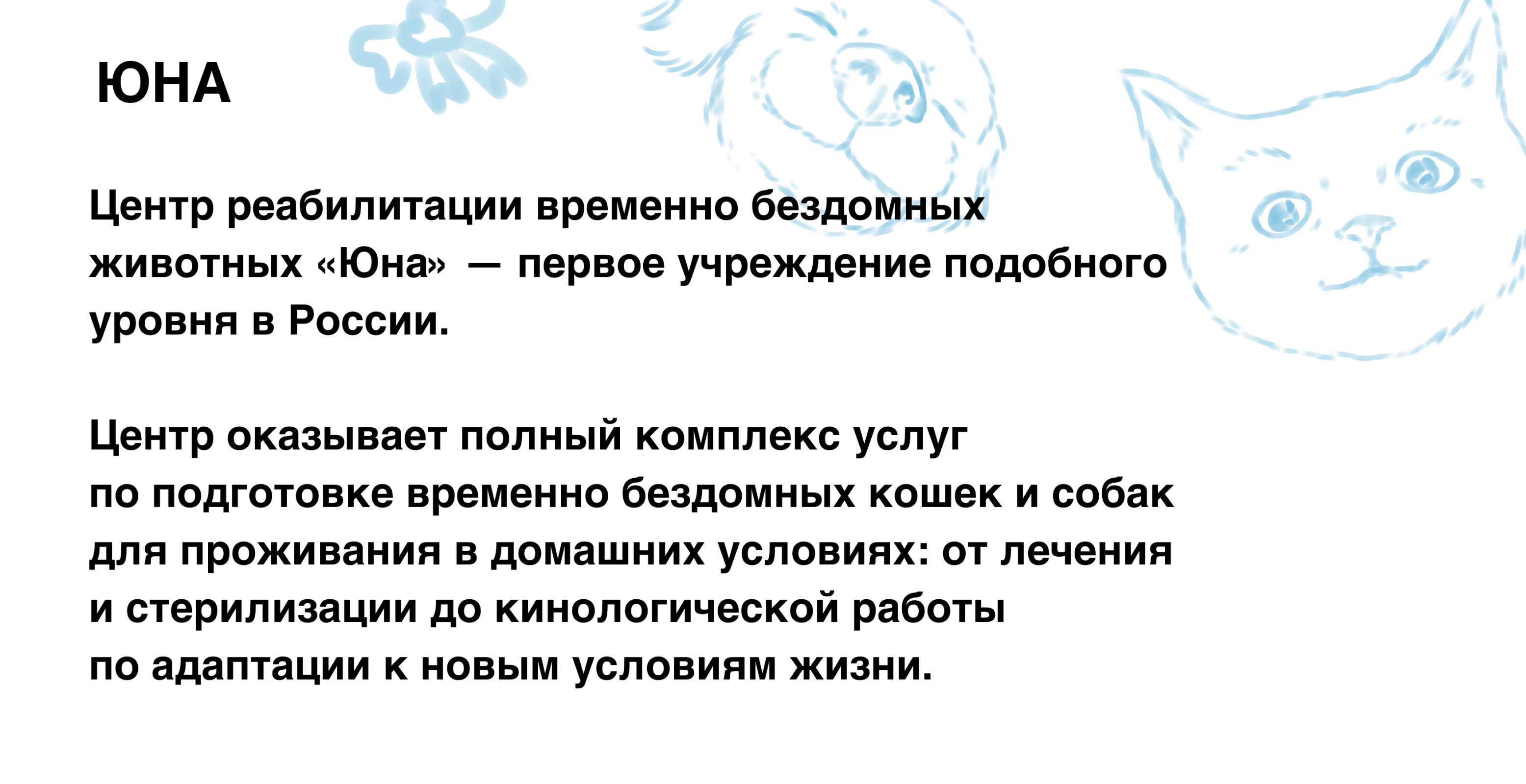 Серия открыток и мерча для центра «ЮНА» — Изображение №3 — Брендинг, Иллюстрация на Dprofile