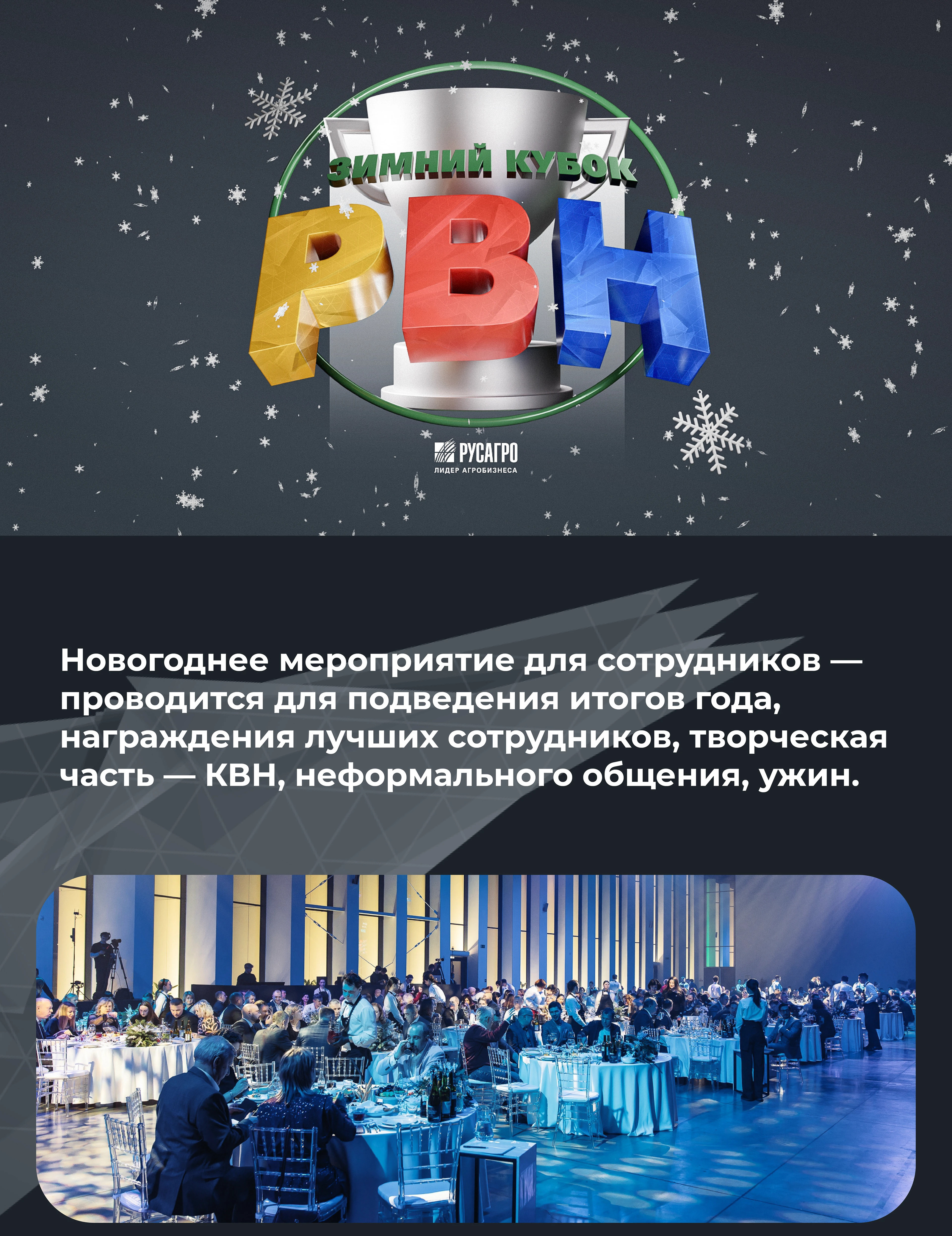 Зимний кубок РВН для ГК "Русагро" — Изображение №1 — Брендинг, Маркетинг на Dprofile