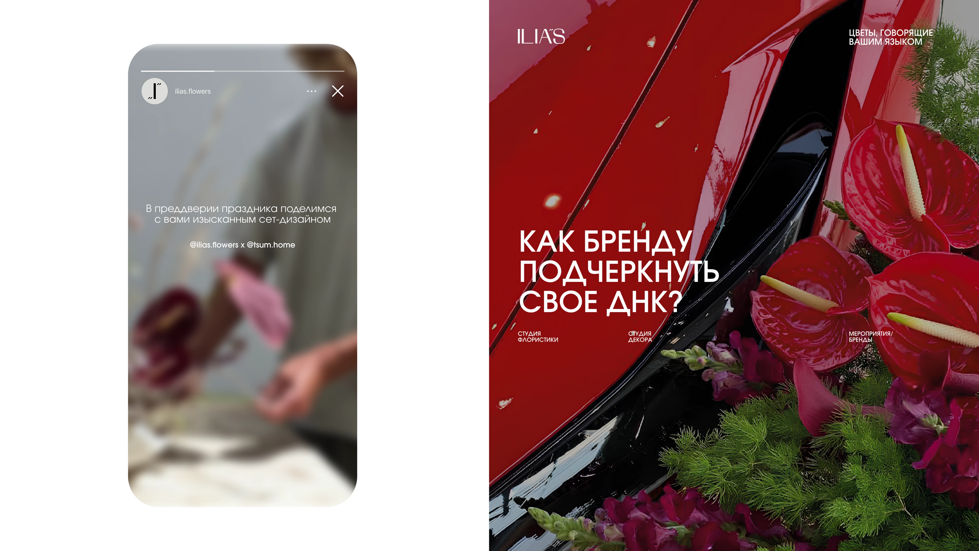 ILIAS // ФИРМЕННЫЙ СТИЛЬ // студия флористики — Изображение №15 — Брендинг на Dprofile