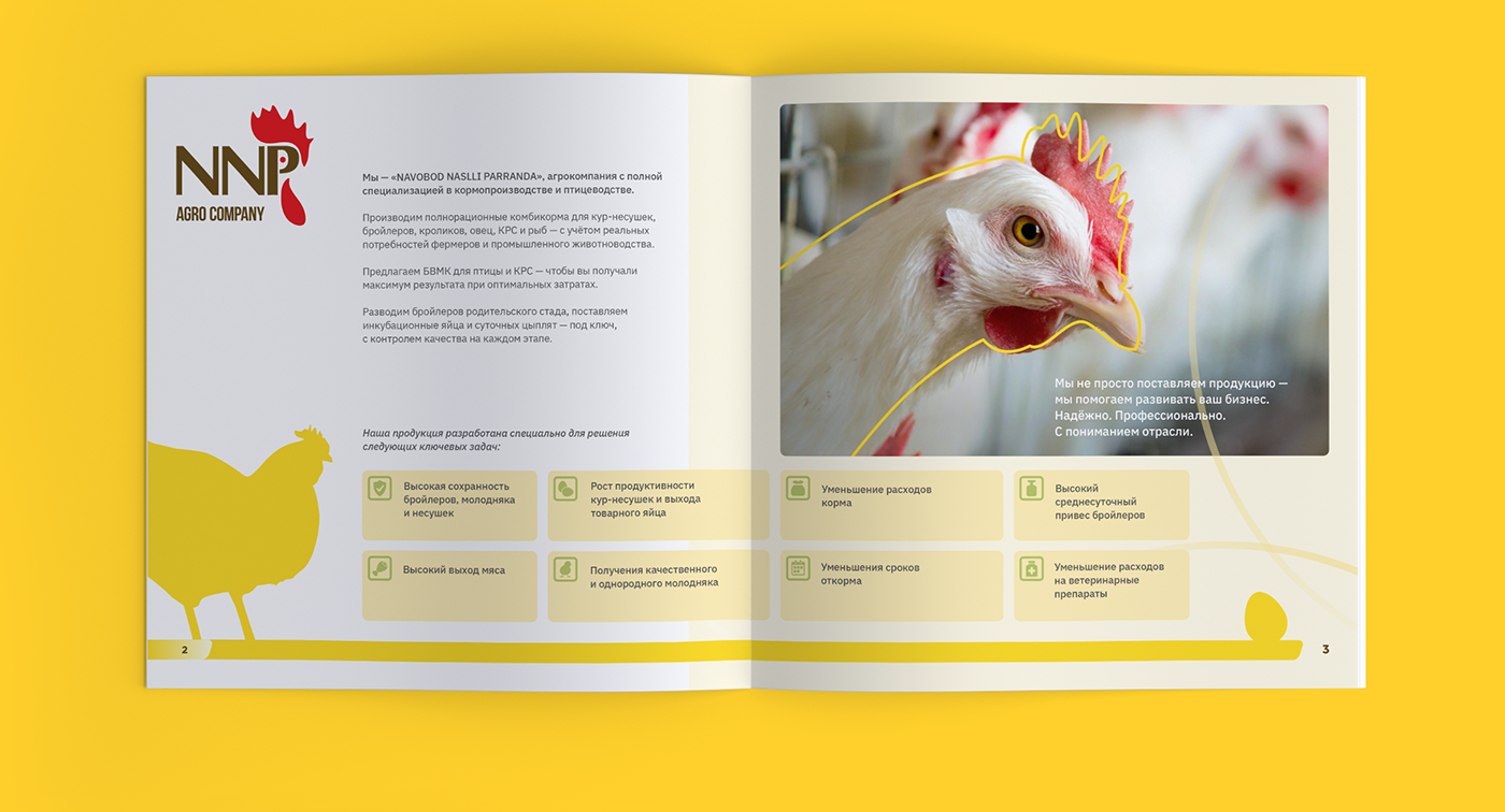 Каталог комбикормов для бройлеров, КРС, кроликов и рыб — Изображение №3 — Графика, Маркетинг на Dprofile