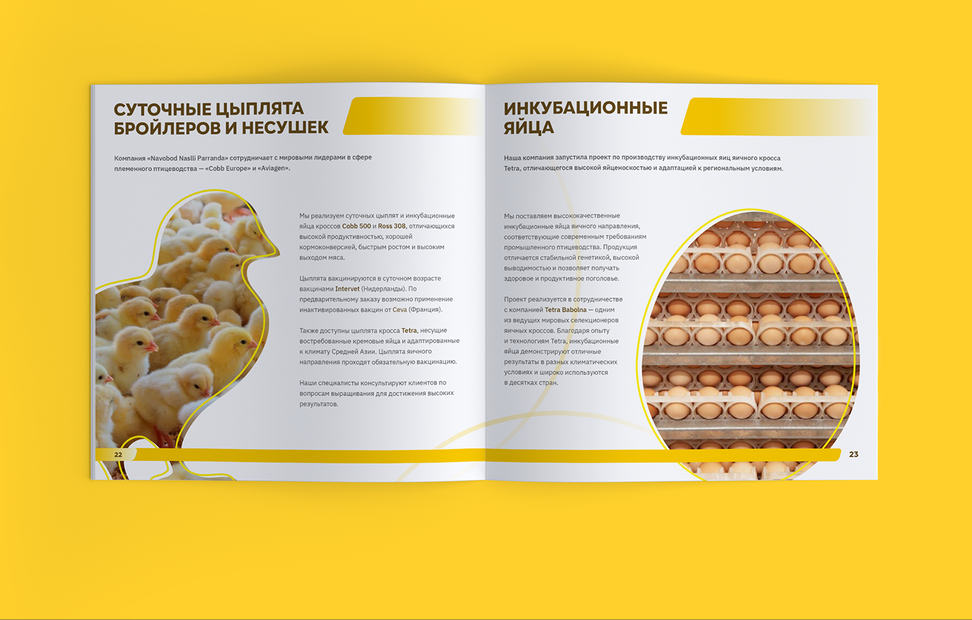 Каталог комбикормов для бройлеров, КРС, кроликов и рыб — Изображение №13 — Графика, Маркетинг на Dprofile