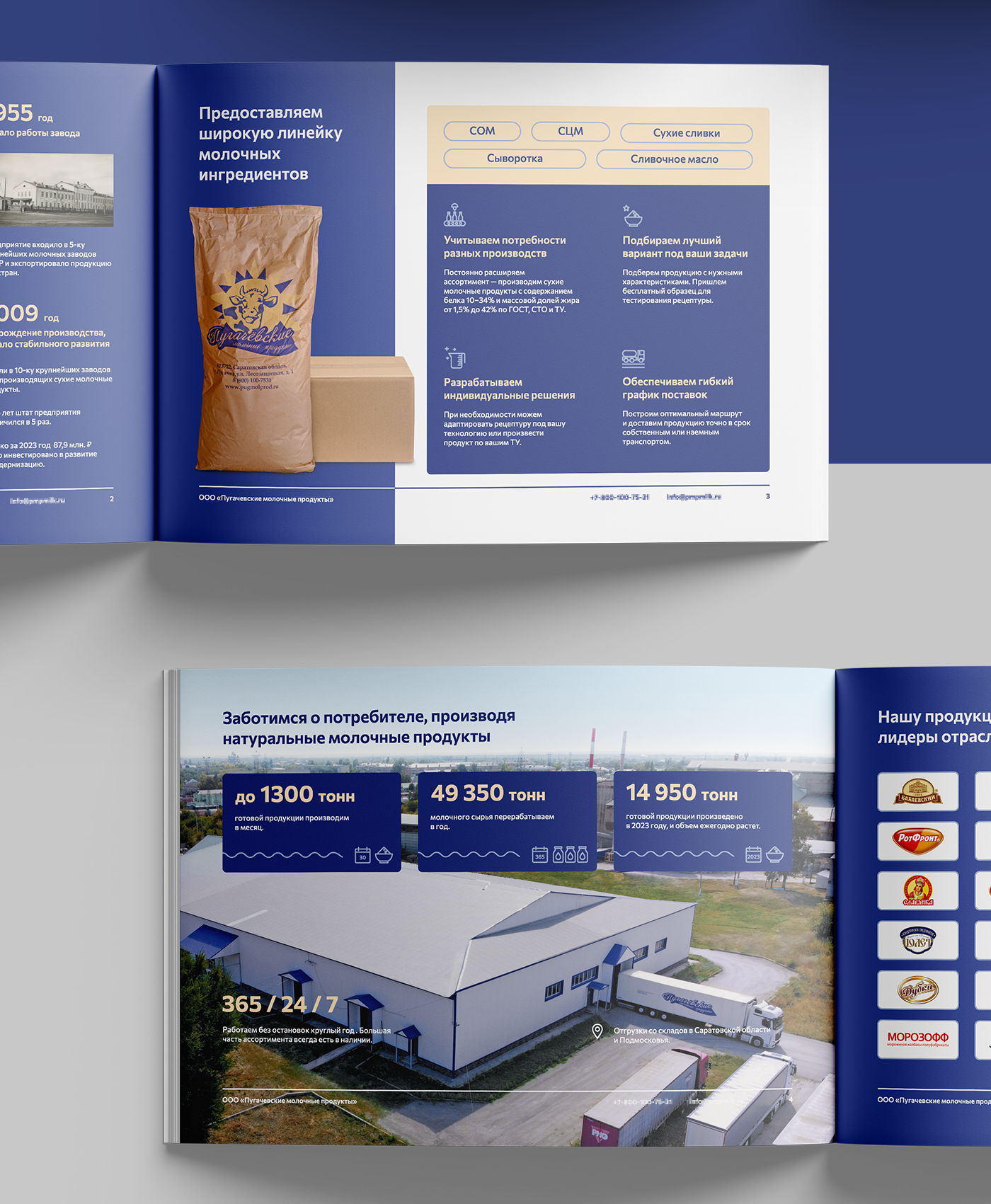 Брошюра для производства молочной продукции — Изображение №3 — Графика, Маркетинг на Dprofile