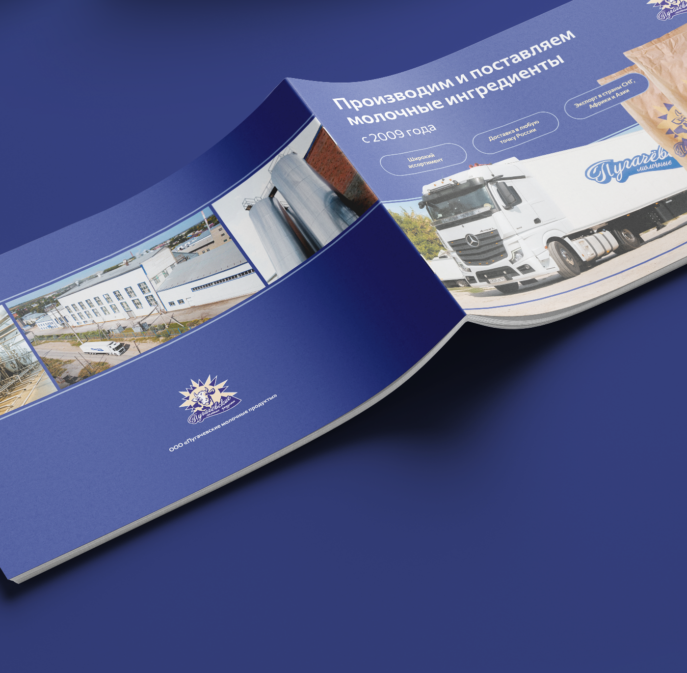 Брошюра для производства молочной продукции — Изображение №13 — Графика, Маркетинг на Dprofile